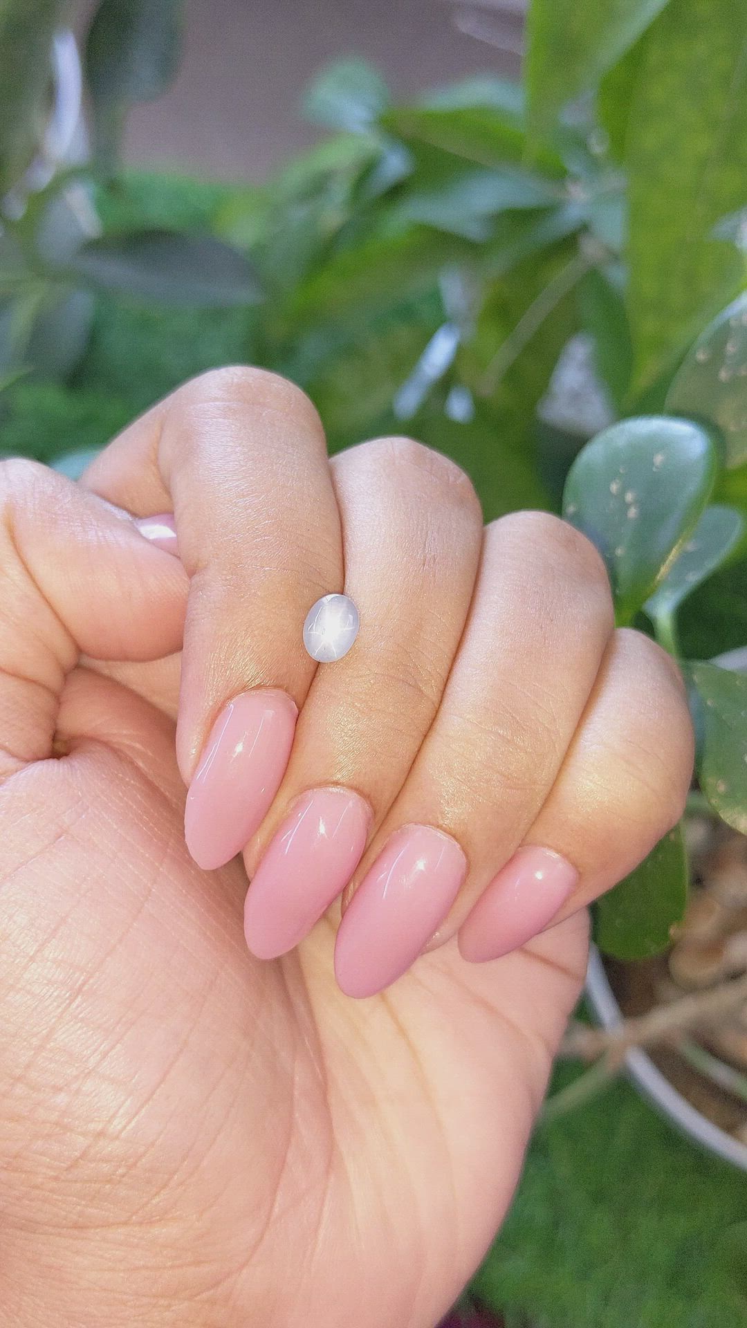 1.24 Ct. Bluish Grey Star Sapphire from Ceylon (Sri Lanka) Size Video