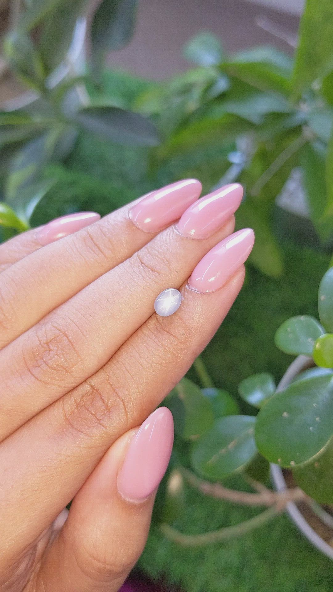 1.24 Ct. Bluish Grey Star Sapphire from Ceylon (Sri Lanka) Size Video