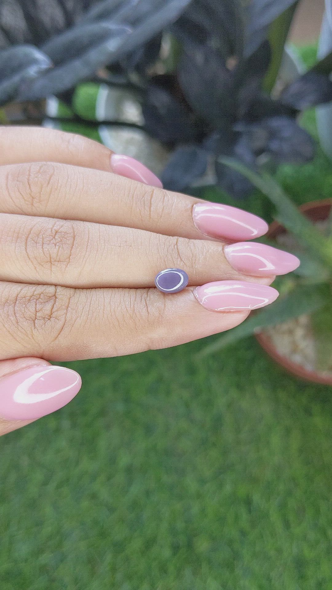 1.49 Ct. Purple Star Sapphire from Ceylon (Sri Lanka) Size Video