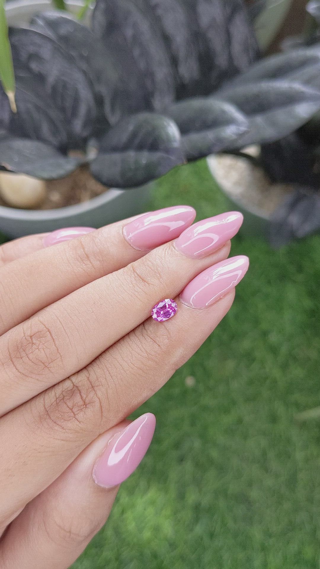 0.55 Ct. Purplish Pink Sapphire from Ceylon (Sri Lanka) Size Video