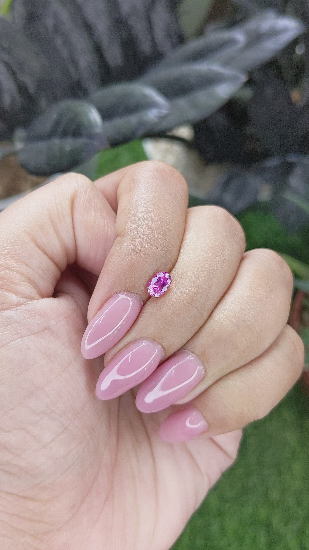 0.55 Ct. Purplish Pink Sapphire from Ceylon (Sri Lanka) Size Video