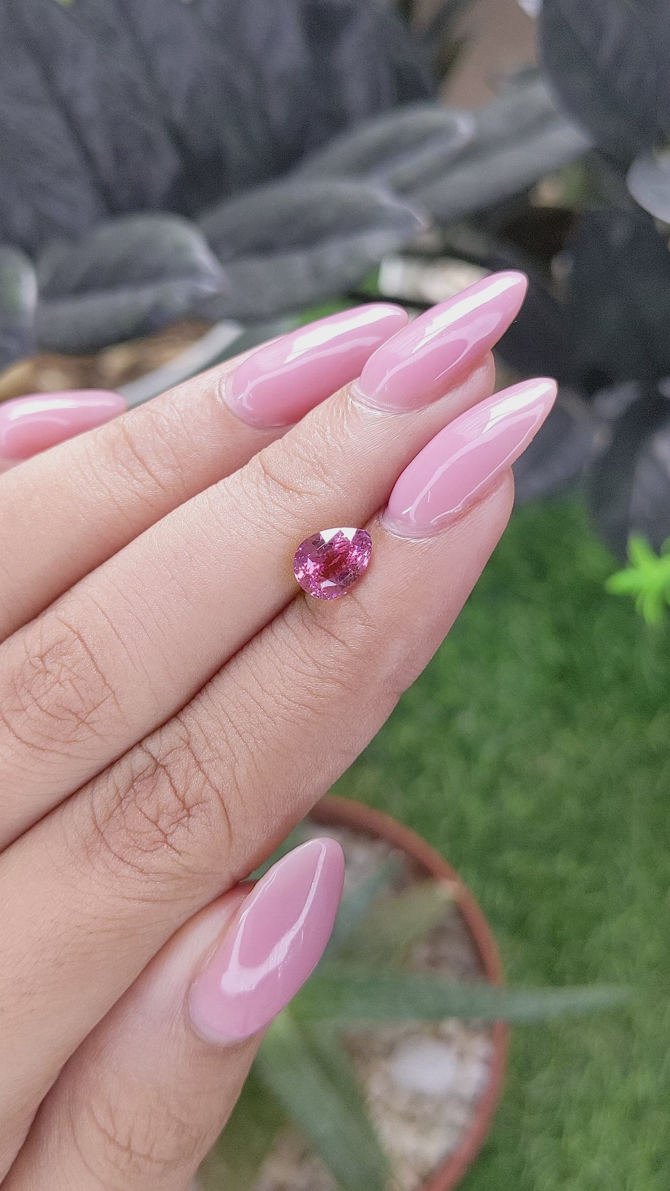 1.58 Ct. Pink Sapphire from Madagascar Size Video