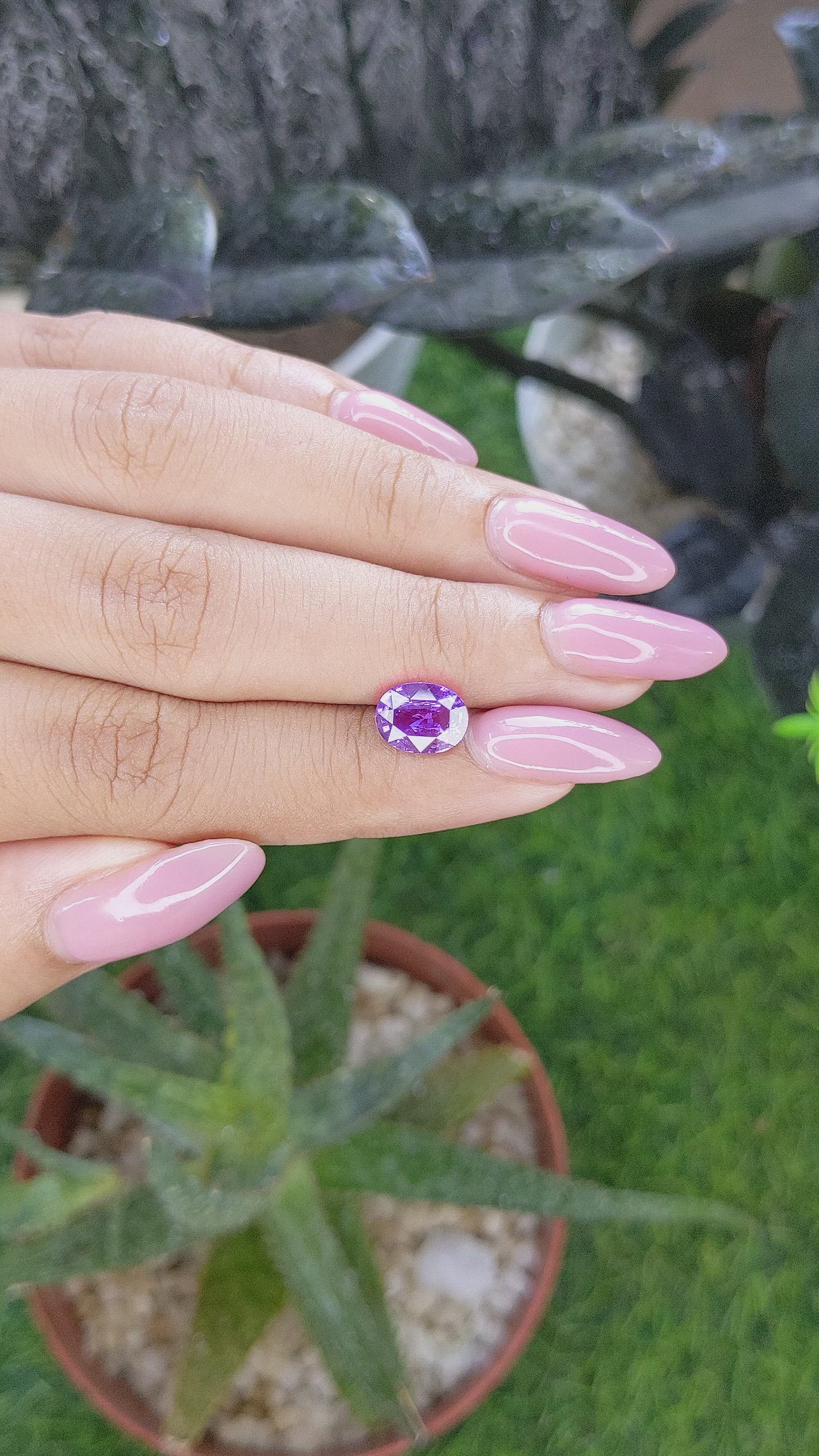 2.03 Ct. Purple Sapphire from Madagascar Size Video