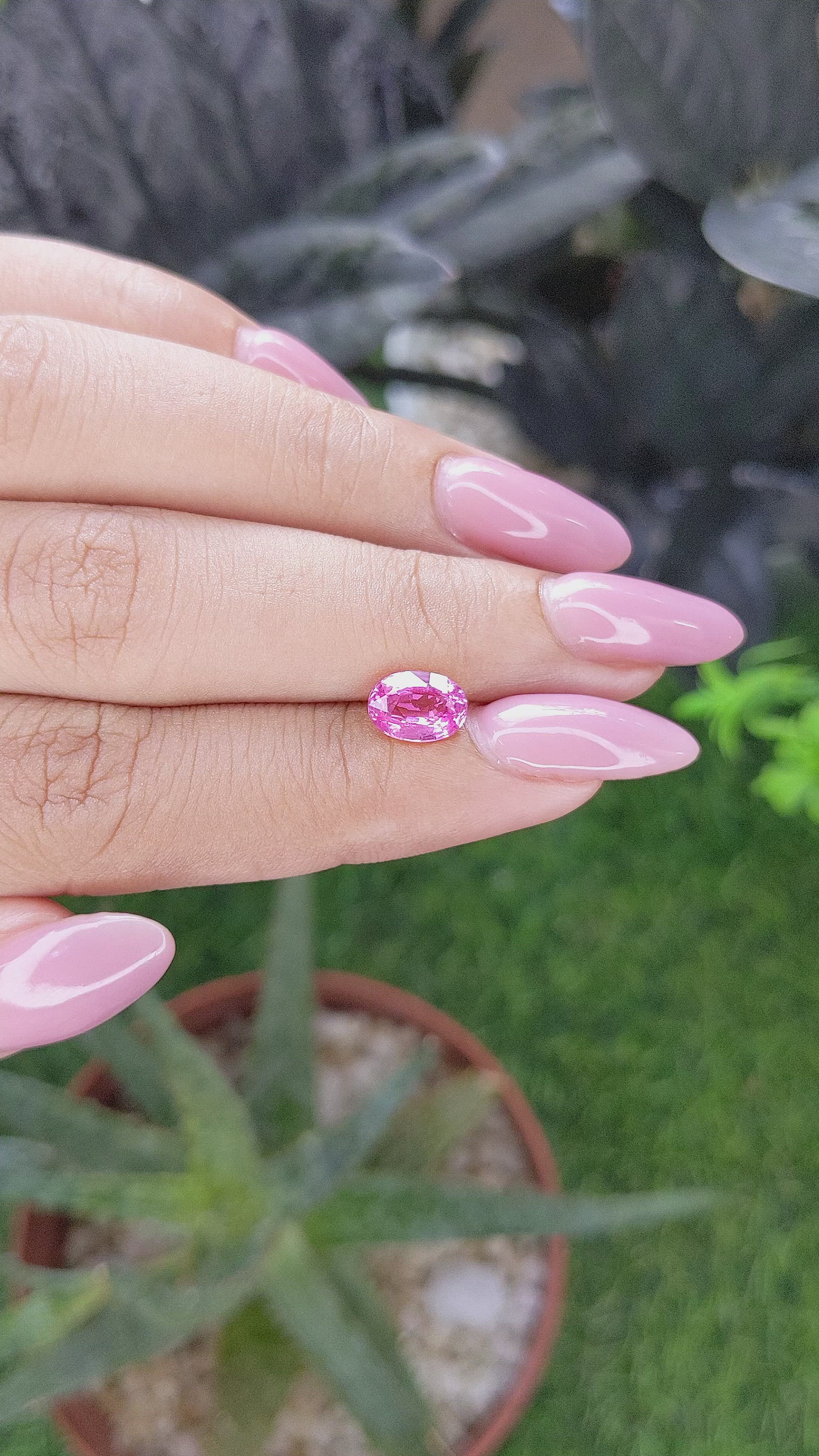 1.51 Ct. Pink Sapphire from Madagascar Size Video