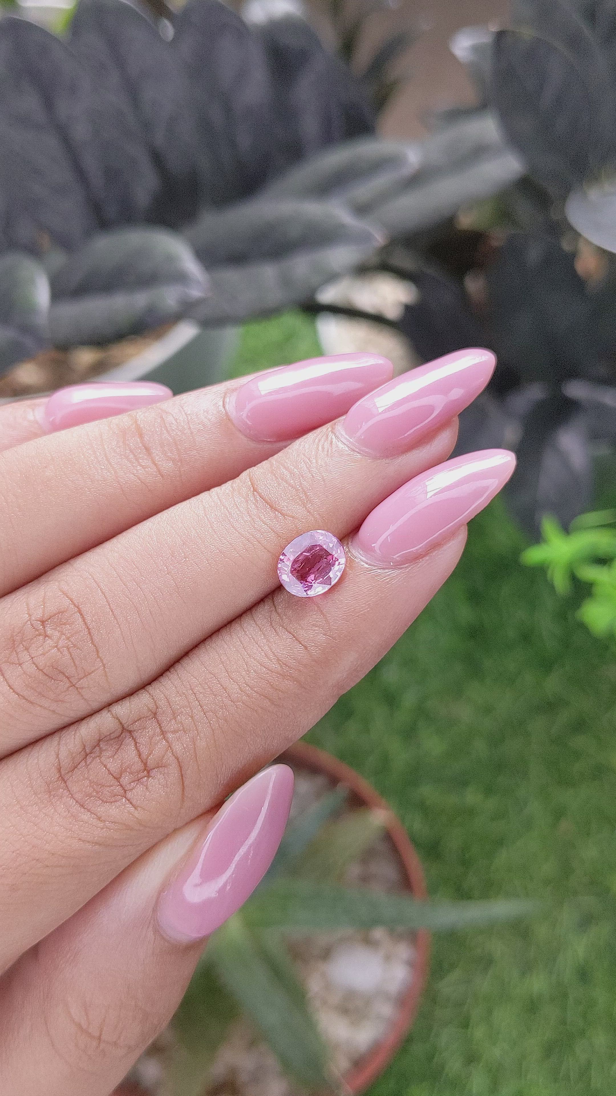 1.50 Ct. Pink Sapphire from Madagascar Size Video