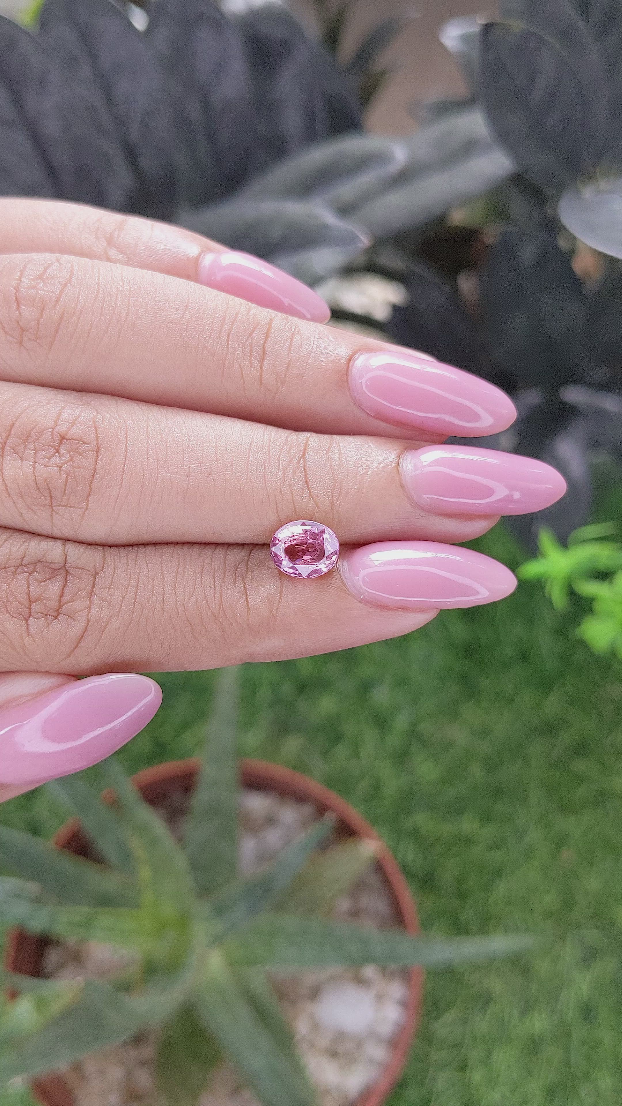1.50 Ct. Pink Sapphire from Madagascar Size Video