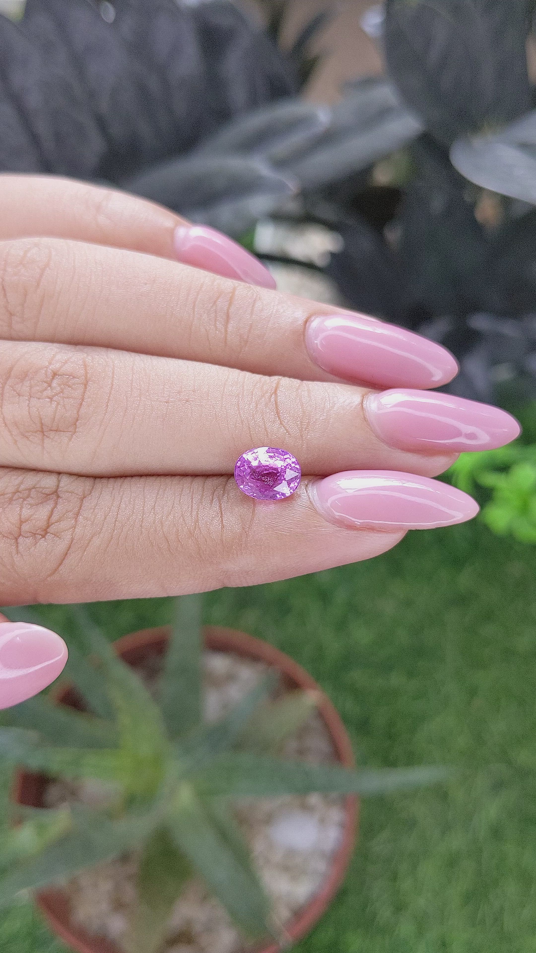 2.04 Ct. Pinkish Purple Sapphire from Madagascar Size Video