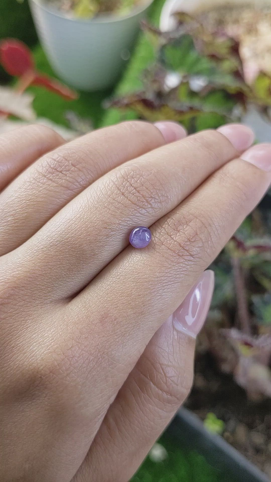 1.34 Ct. Pinkish Purple Star Sapphire from Ceylon (Sri Lanka) Size Video
