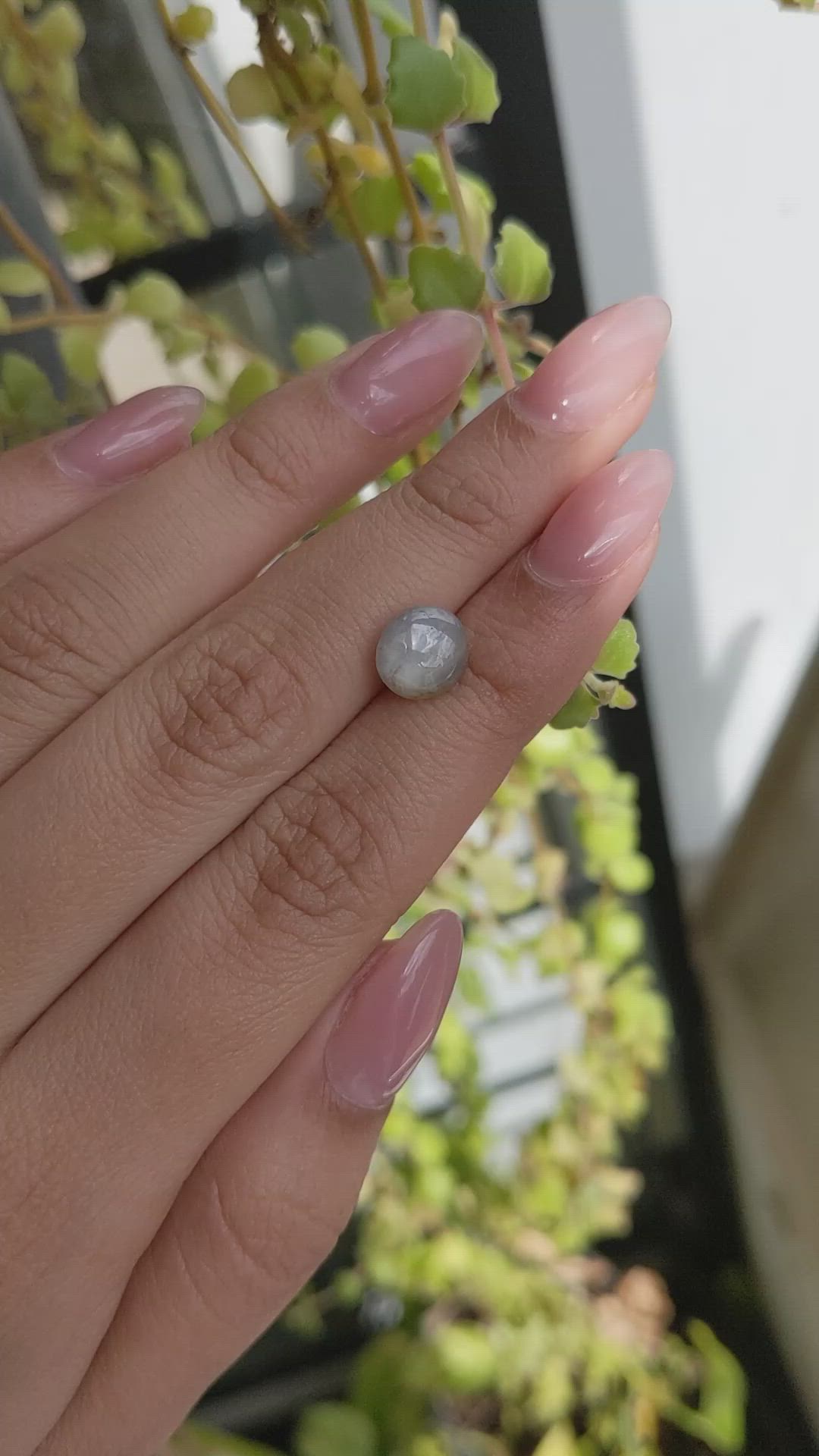 2.92 Ct. Grey Star Sapphire from Ceylon (Sri Lanka) Size Video