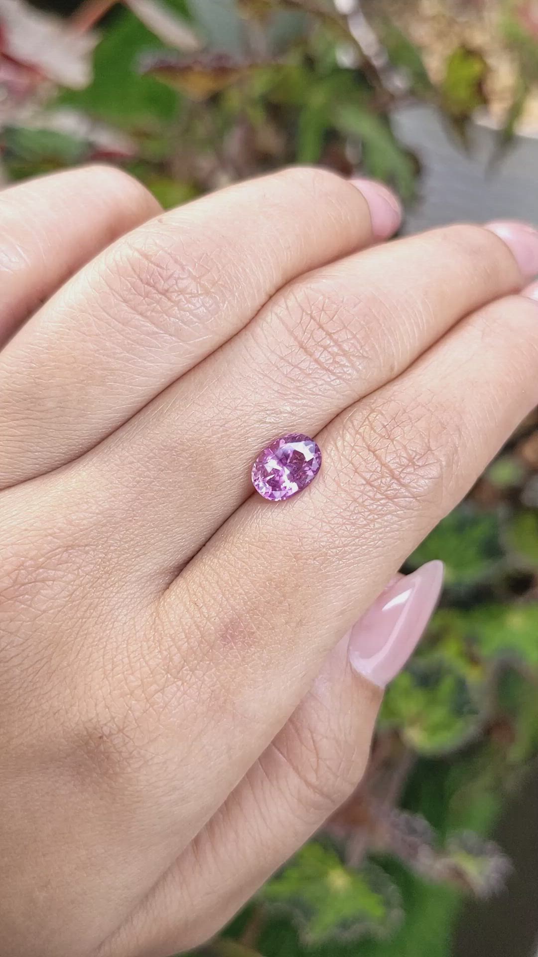 1.81 Ct. Purplish Pink Sapphire from Ceylon (Sri Lanka) Size Video