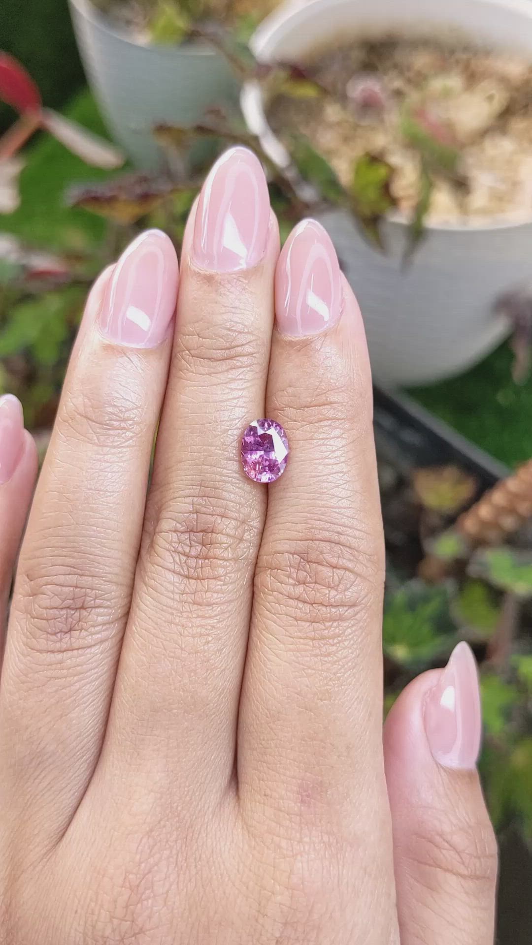 1.81 Ct. Purplish Pink Sapphire from Ceylon (Sri Lanka) Size Video