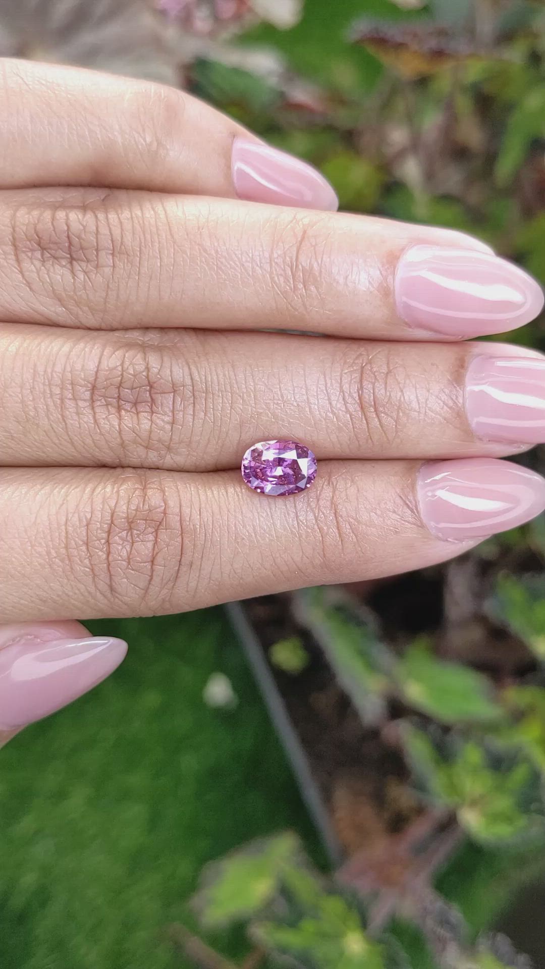 1.81 Ct. Purplish Pink Sapphire from Ceylon (Sri Lanka) Size Video
