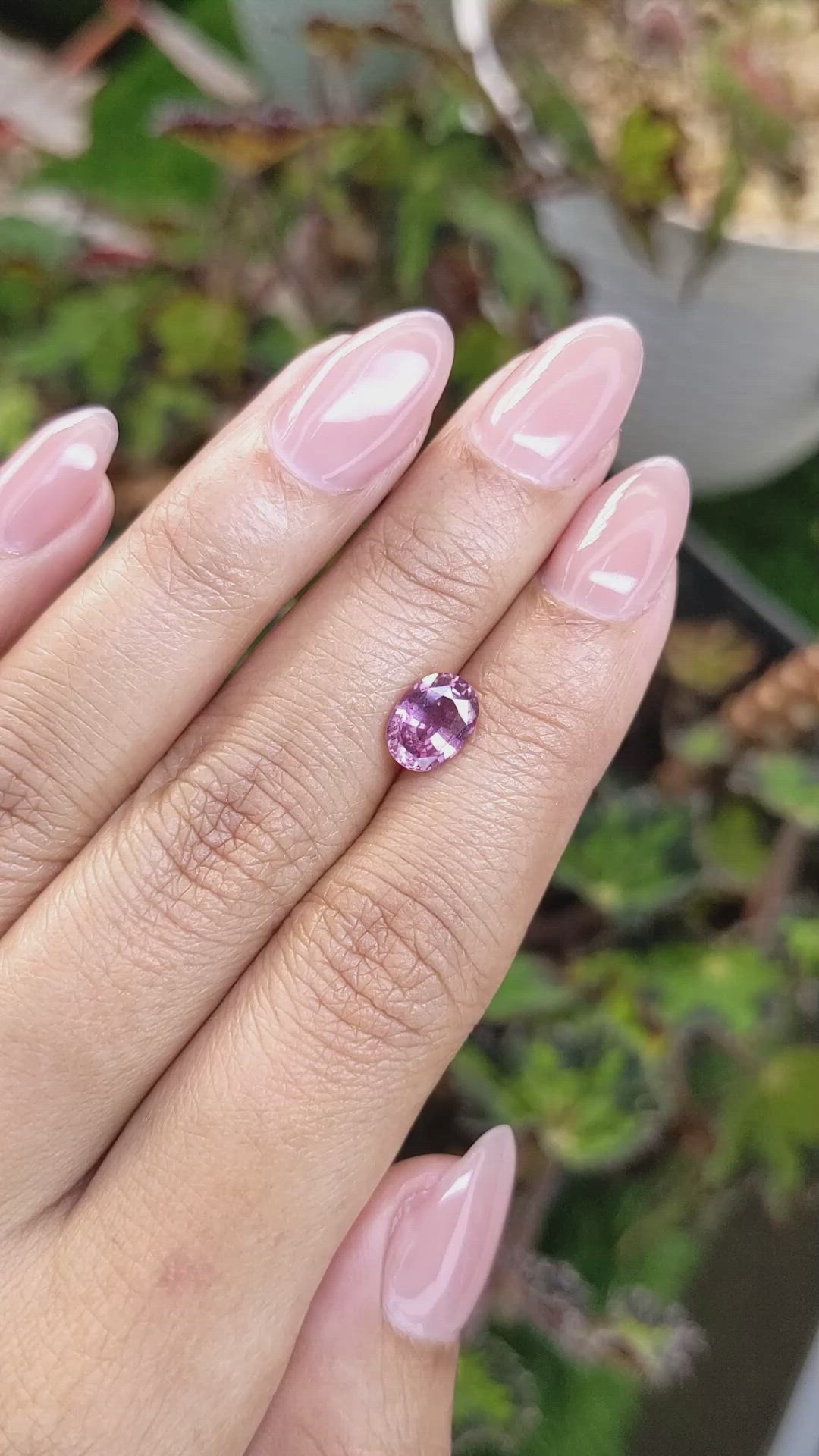 1.63 Ct. Purplish Pink Sapphire from Ceylon (Sri Lanka) Size Video