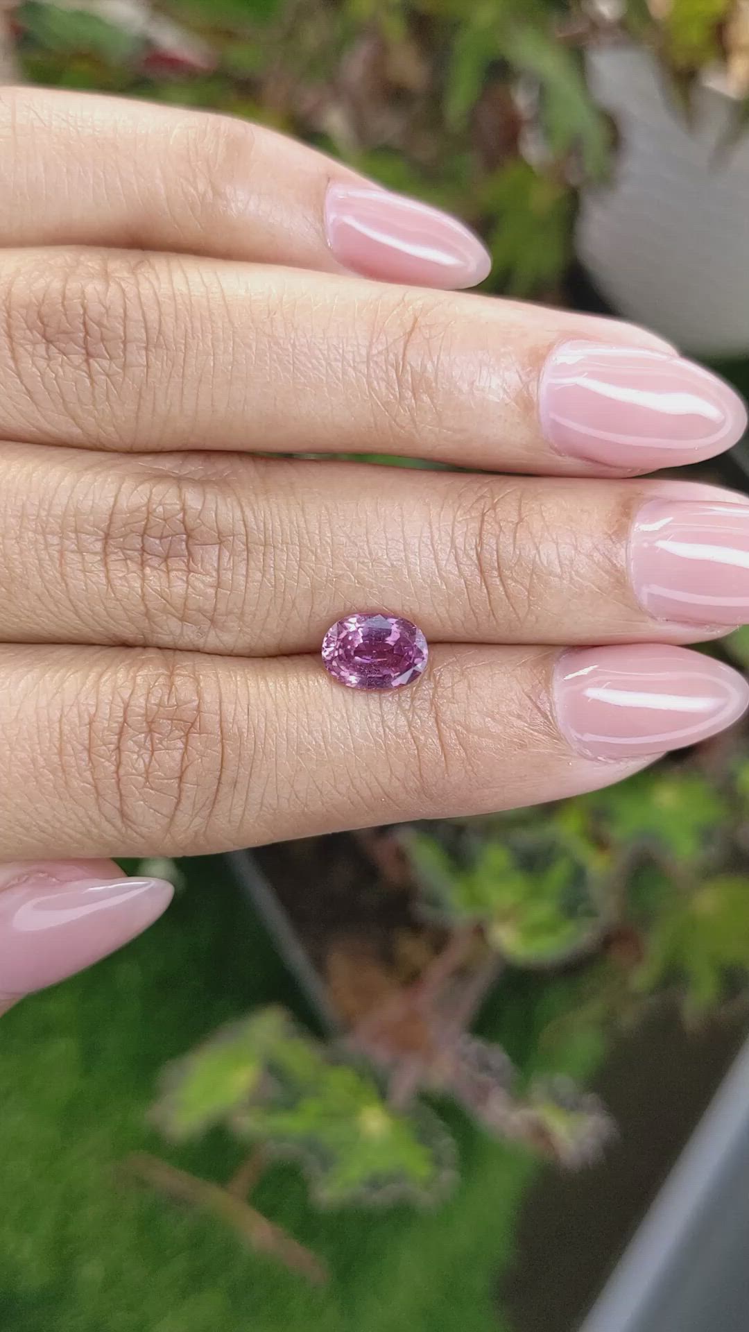 1.63 Ct. Purplish Pink Sapphire from Ceylon (Sri Lanka) Size Video