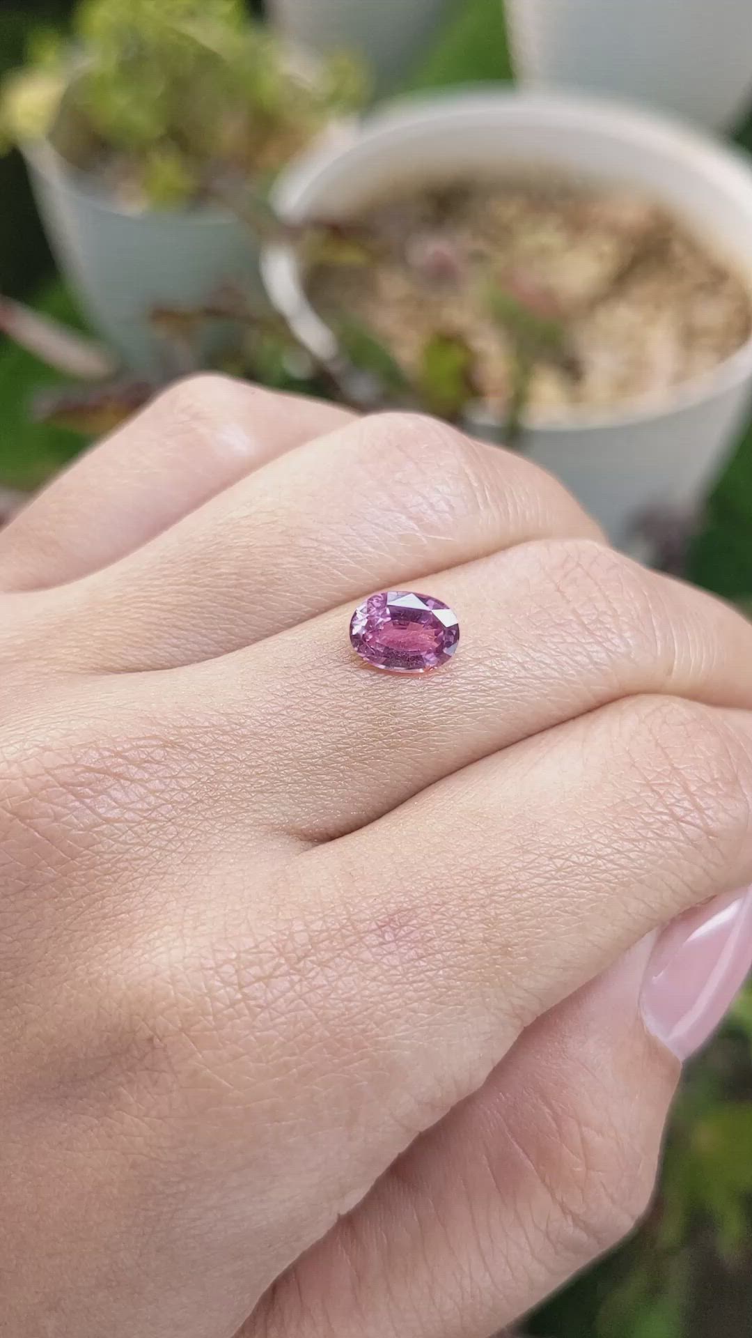 1.63 Ct. Purplish Pink Sapphire from Ceylon (Sri Lanka) Size Video