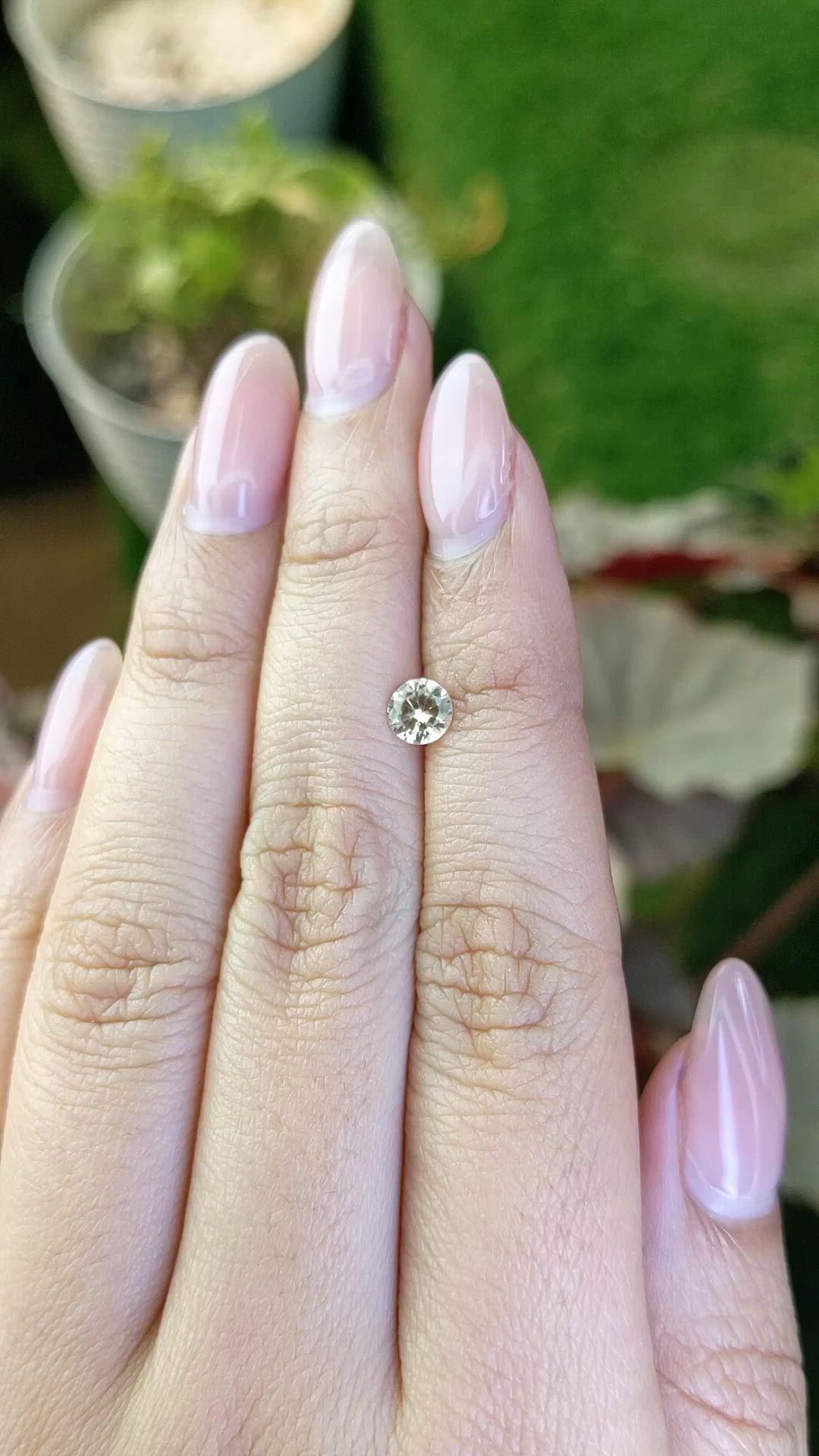 0.55 Ct. Yellow Sapphire from Ceylon (Sri Lanka) Size Video