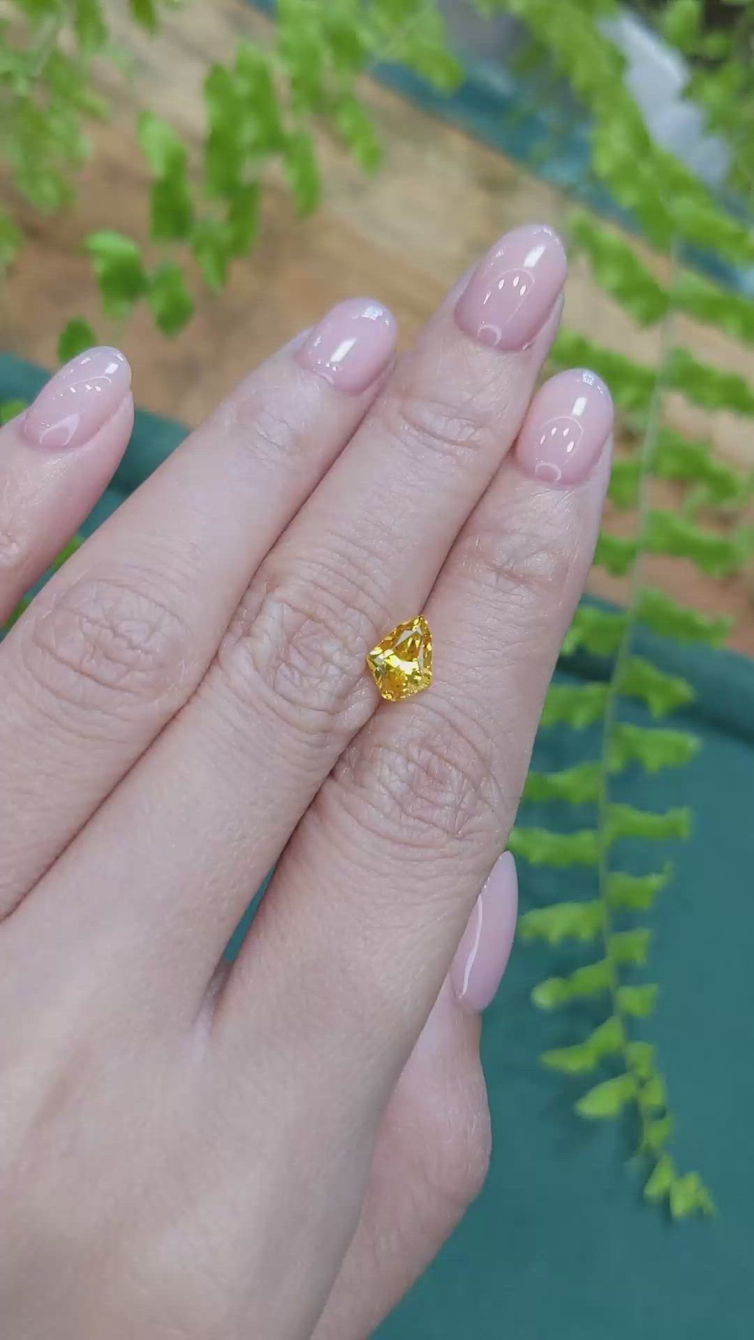 1.54 Ct. Yellow Sapphire from Ceylon (Sri Lanka) Size Video