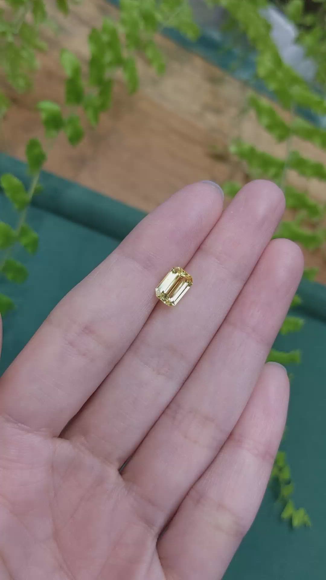 1.89 Ct. Yellow Sapphire from Ceylon (Sri Lanka) Size Video