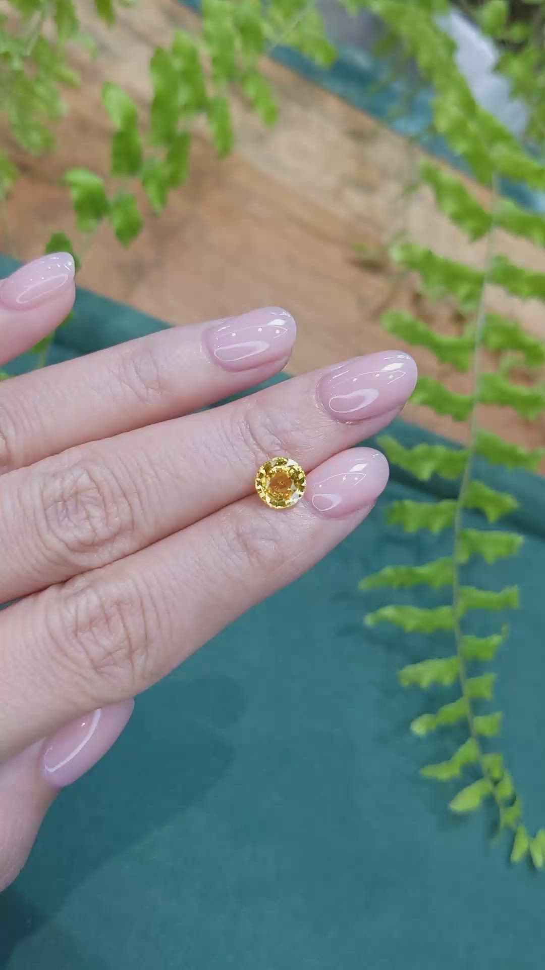 1.61 Ct. Yellow Sapphire from Ceylon (Sri Lanka) Size Video