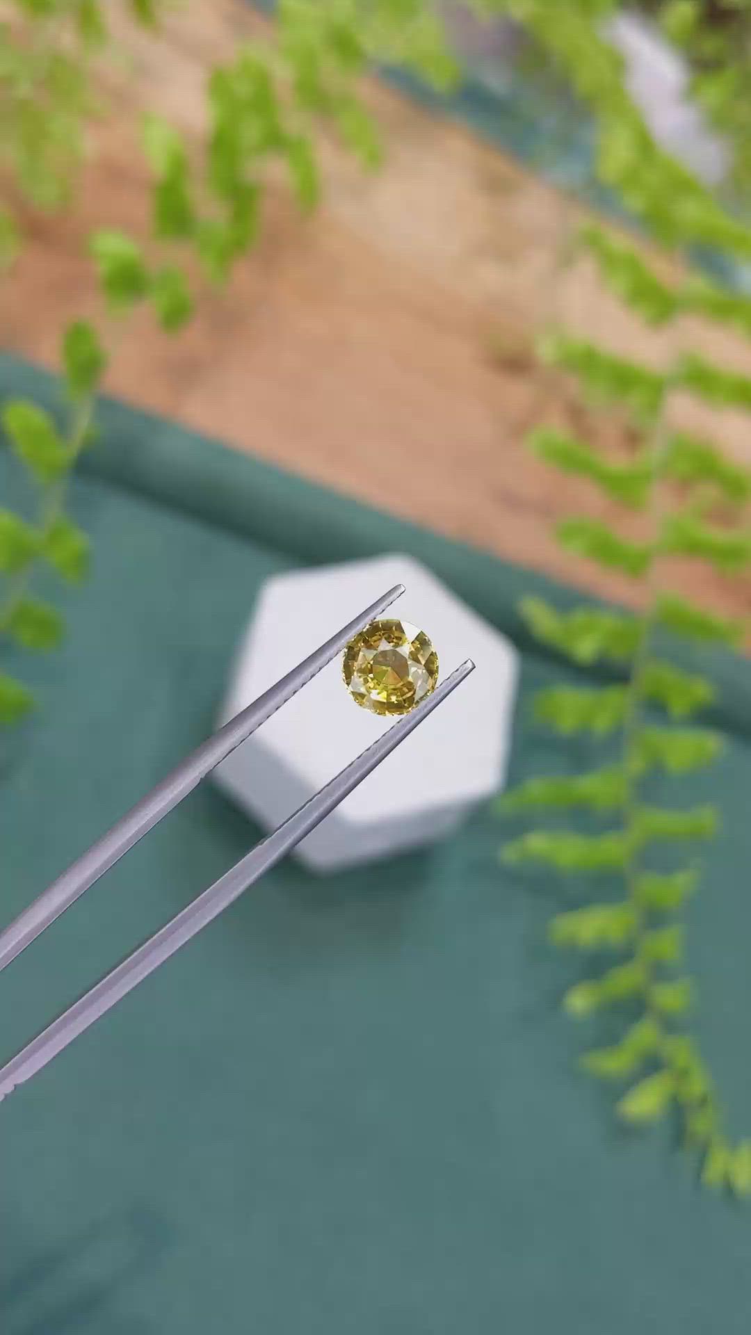 1.61 Ct. Yellow Sapphire from Ceylon (Sri Lanka) Size Video