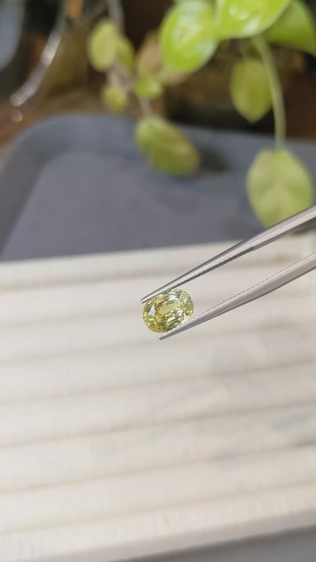 2.24 Ct. Yellow Sapphire from Ceylon (Sri Lanka) Size Video