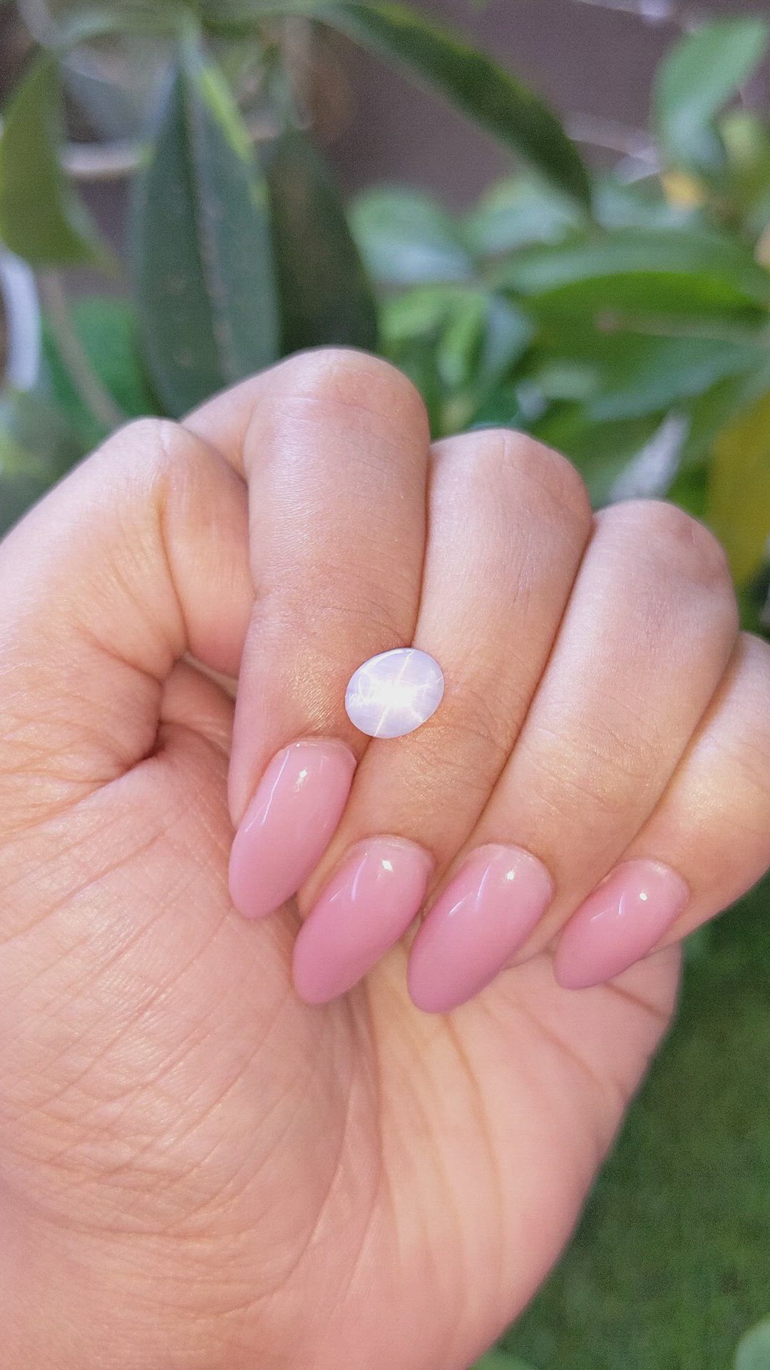 2.63 Ct. Grey Star Sapphire from Ceylon (Sri Lanka) Size Video