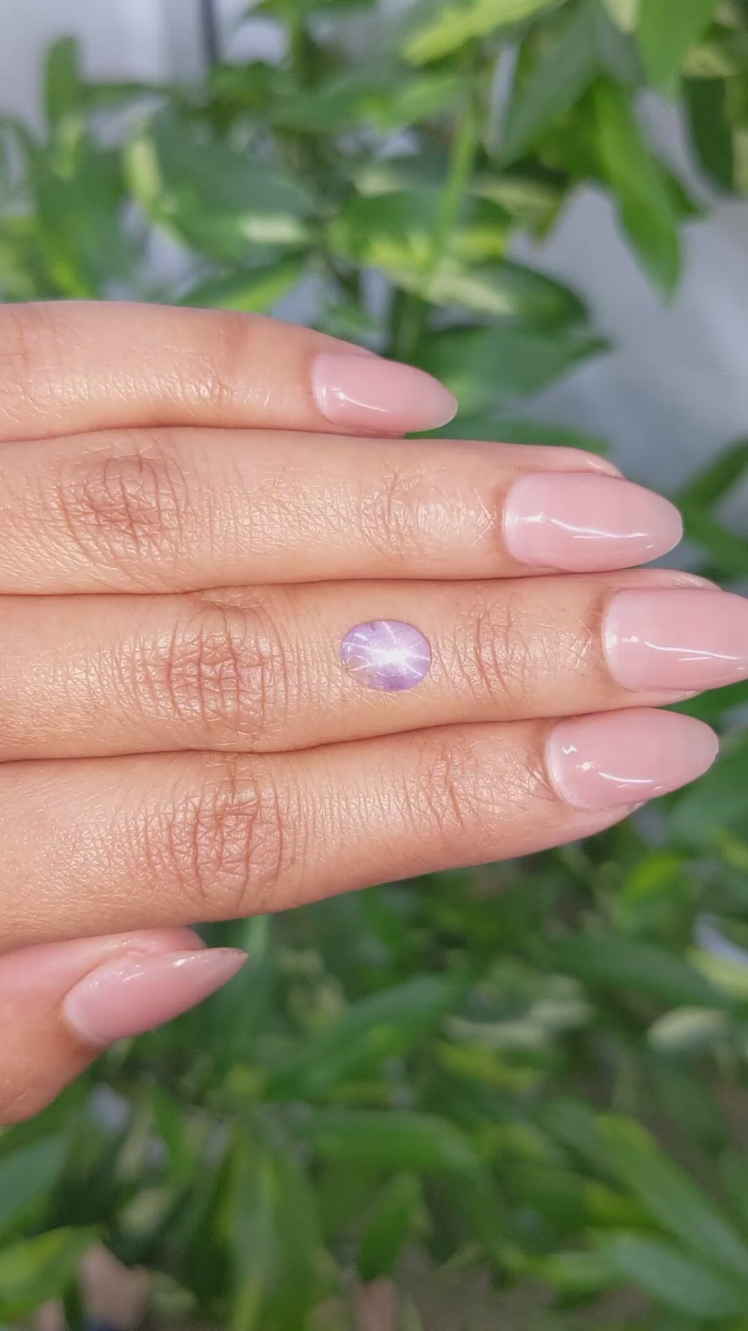 1.94 Ct. Pinkish Purple Star Sapphire from Ceylon (Sri Lanka) Size Video