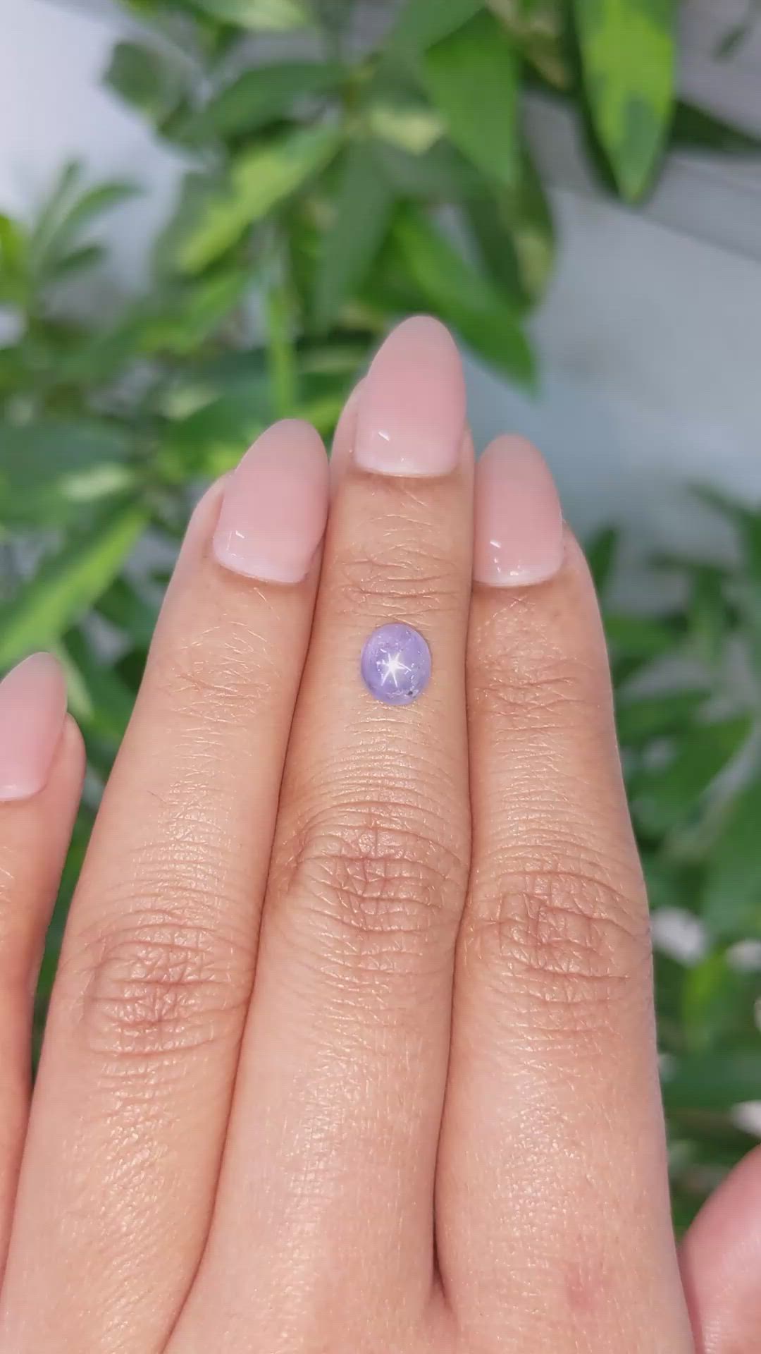 1.65 Ct. Blue Star Sapphire from Ceylon (Sri Lanka) Size Video