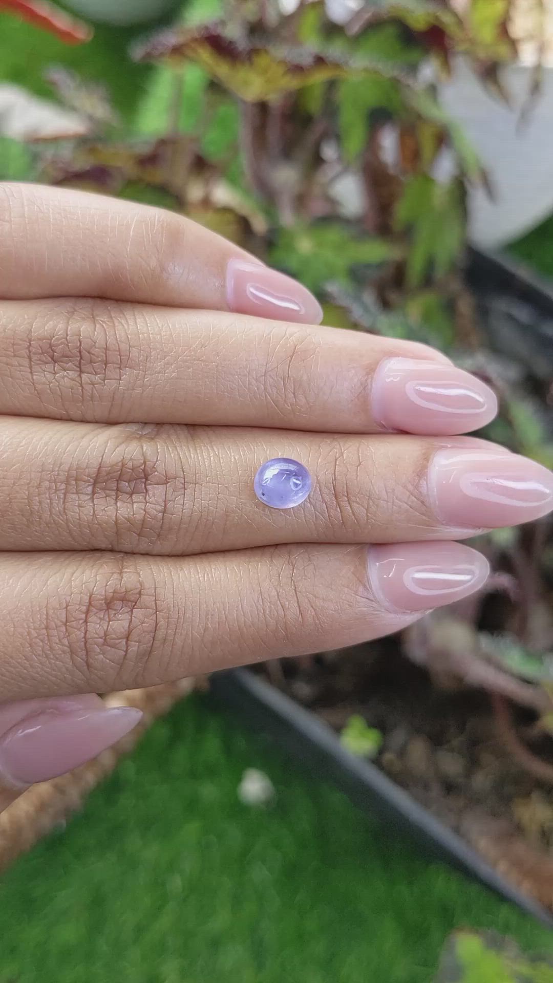 1.65 Ct. Blue Star Sapphire from Ceylon (Sri Lanka) Size Video