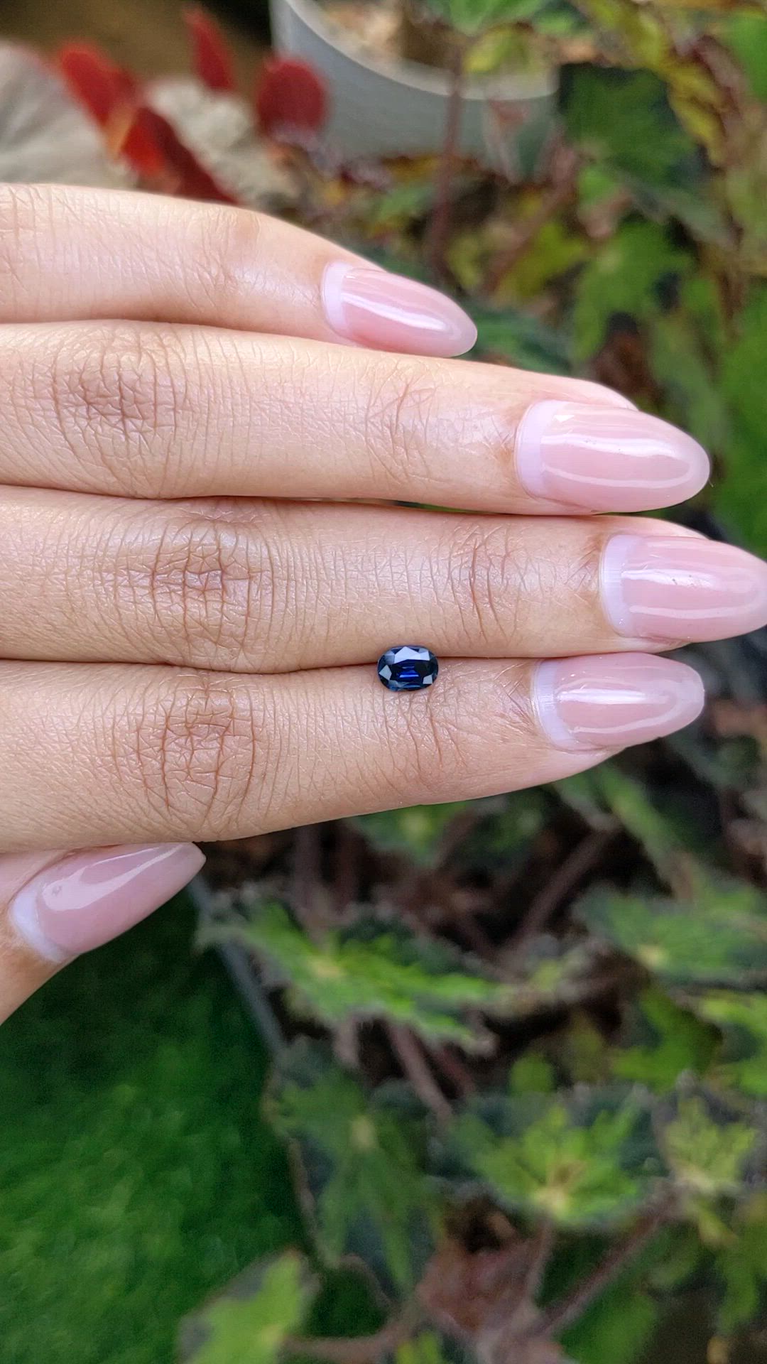 0.51 Ct. Blue Sapphire from Ceylon (Sri Lanka) Size Video