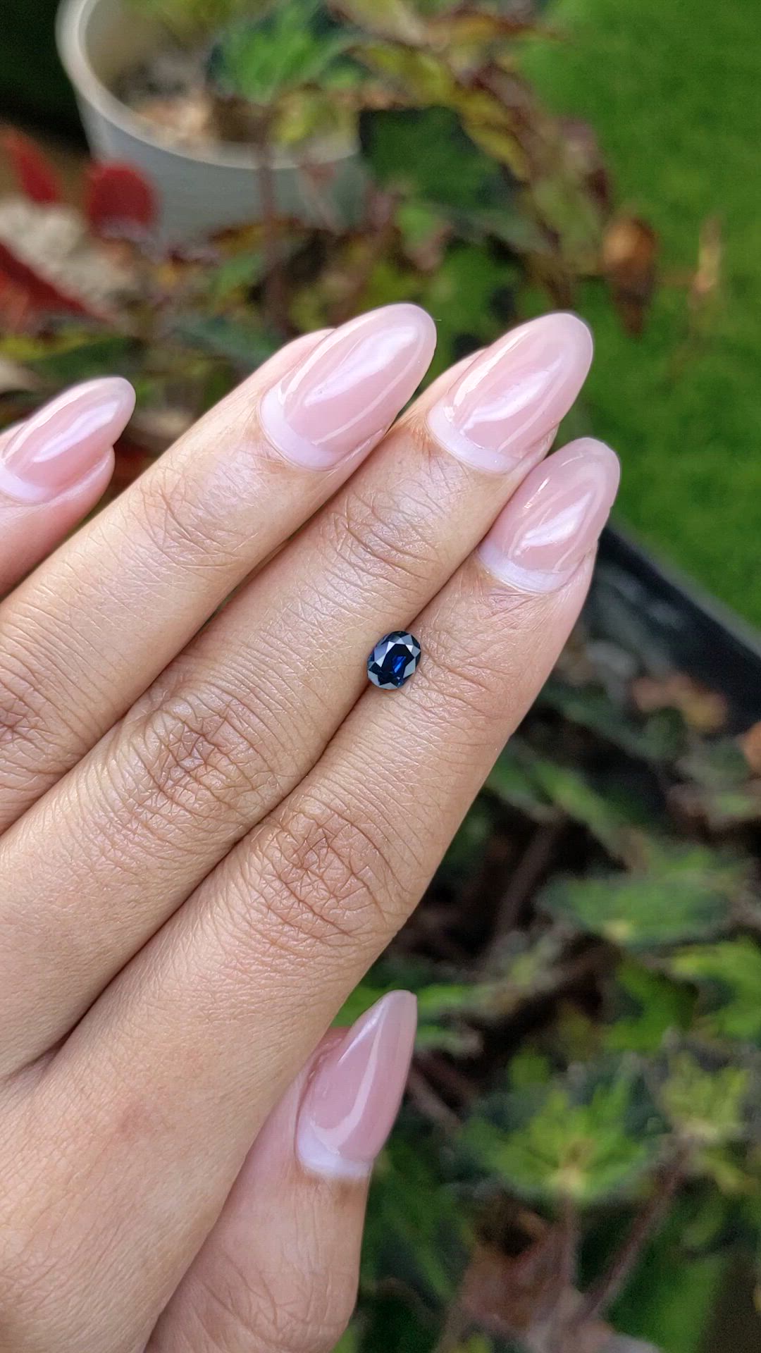 0.51 Ct. Blue Sapphire from Ceylon (Sri Lanka) Size Video
