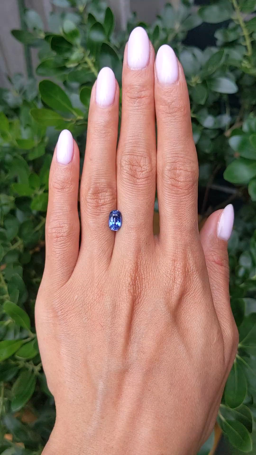 1.85 Ct. Blue Sapphire from Ceylon (Sri Lanka) Size Video