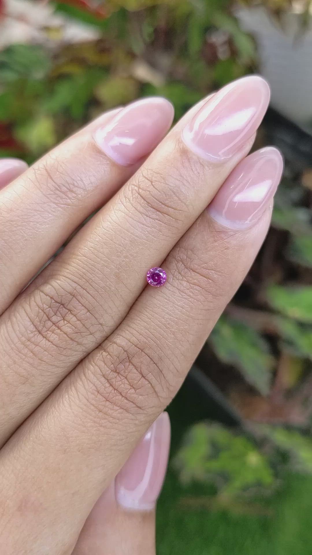 0.21 Ct. Pink Sapphire from Ceylon (Sri Lanka) Size Video