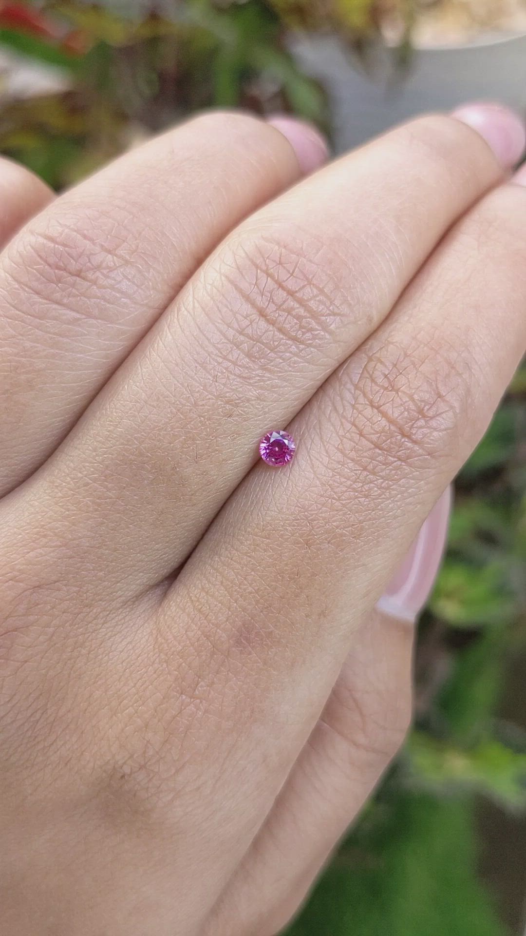 0.21 Ct. Pink Sapphire from Ceylon (Sri Lanka) Size Video