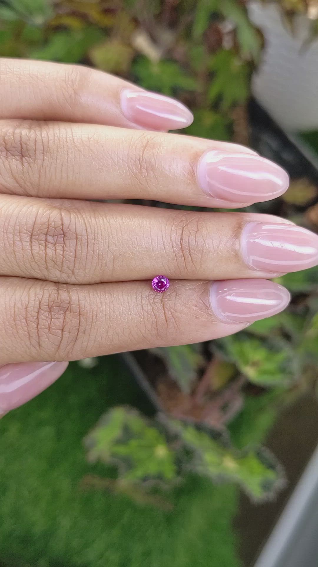 0.21 Ct. Pink Sapphire from Ceylon (Sri Lanka) Size Video