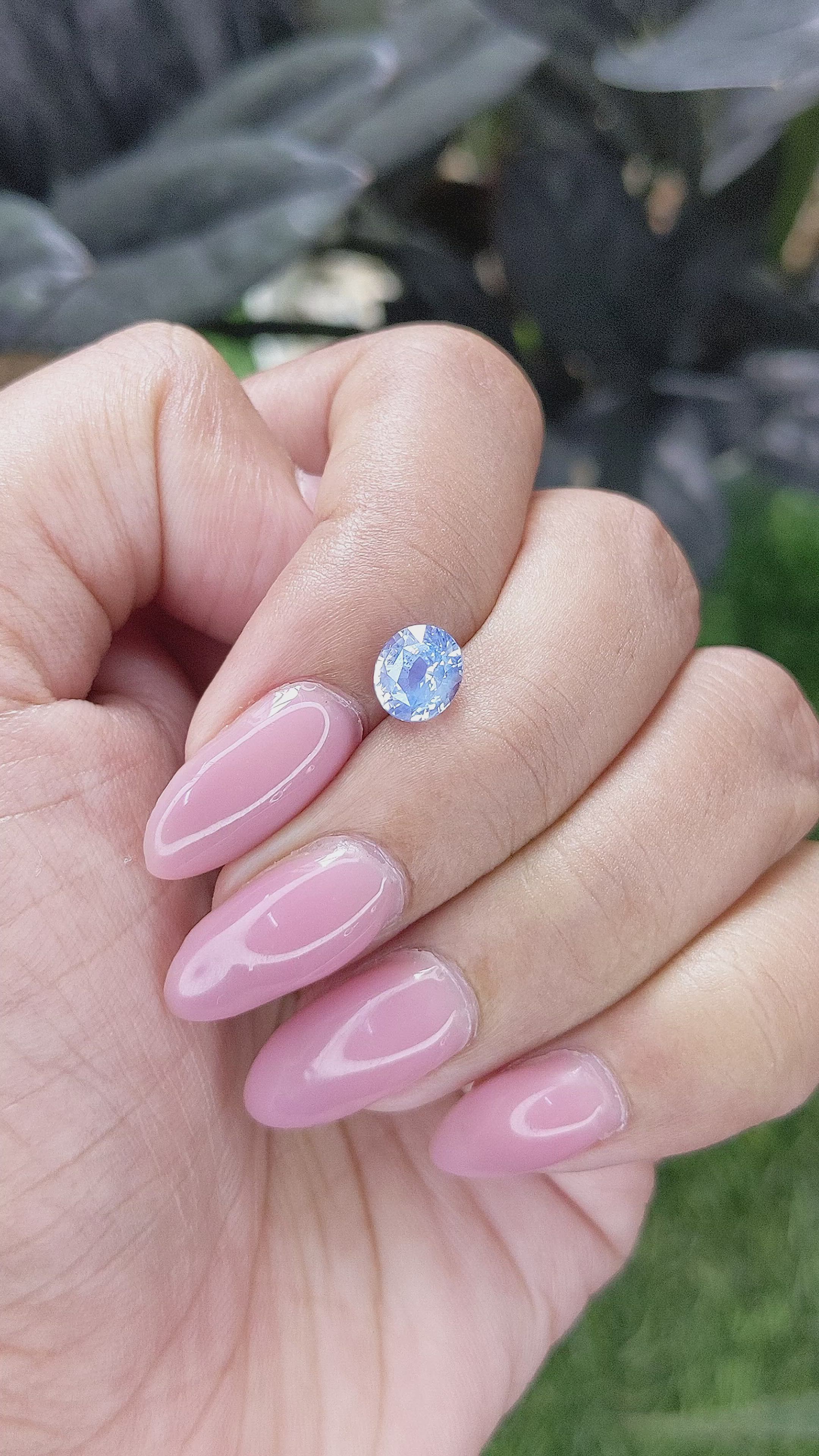 1.50 Ct. Blue Sapphire from Ceylon (Sri Lanka) Size Video