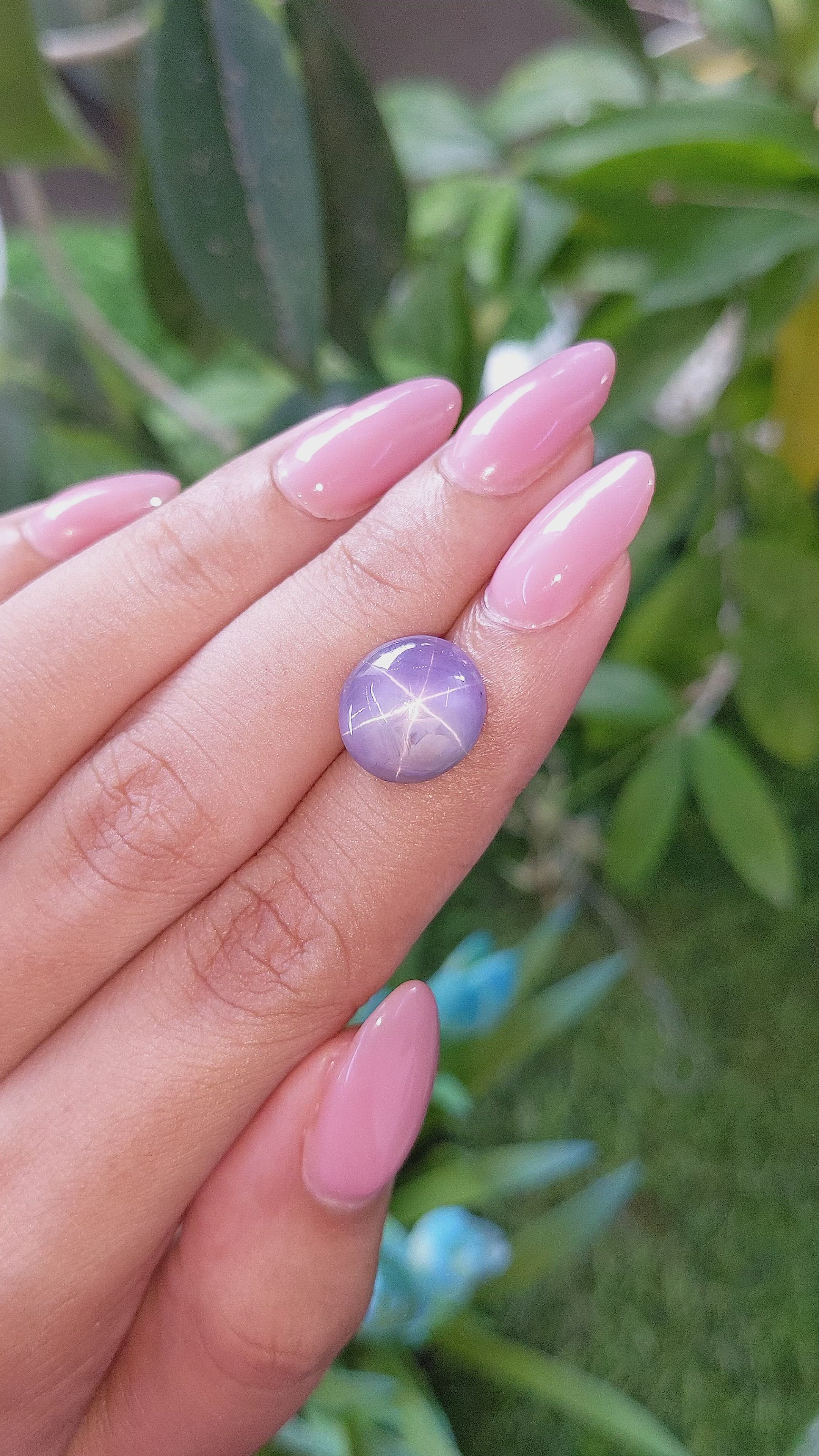 10.73 Ct. Purple Star Sapphire from Ceylon (Sri Lanka) Size Video