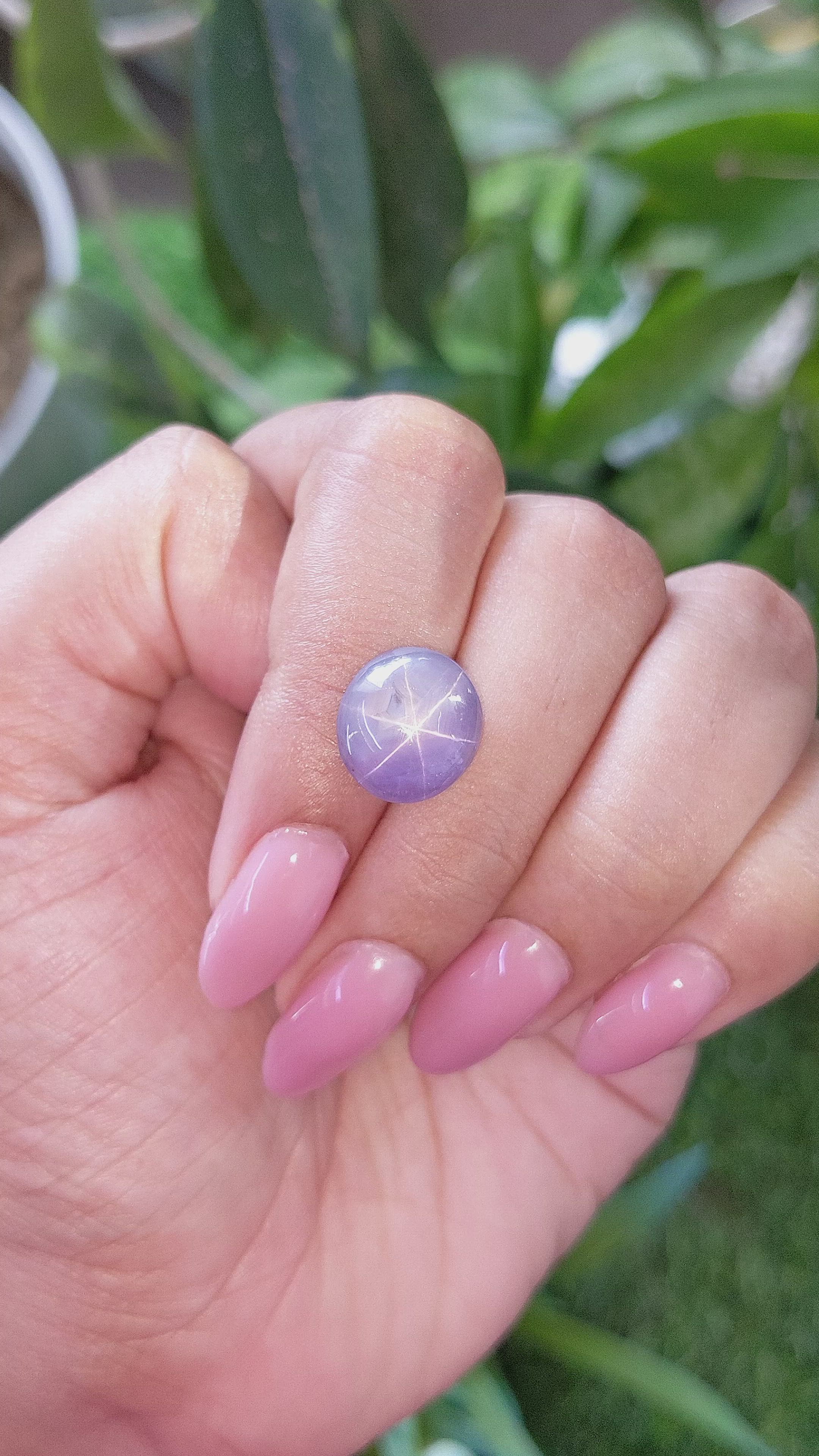10.73 Ct. Purple Star Sapphire from Ceylon (Sri Lanka) Size Video
