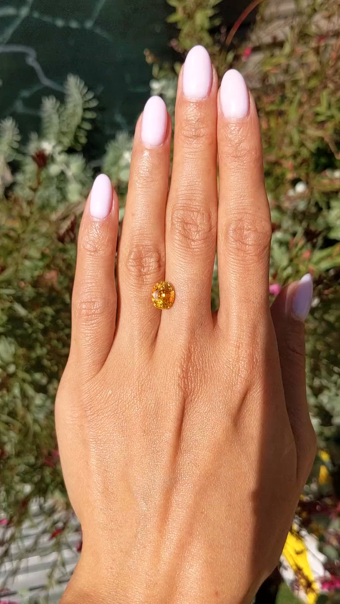 3.23 Ct. Orangish Yellow Sapphire from Ceylon (Sri Lanka) Size Video
