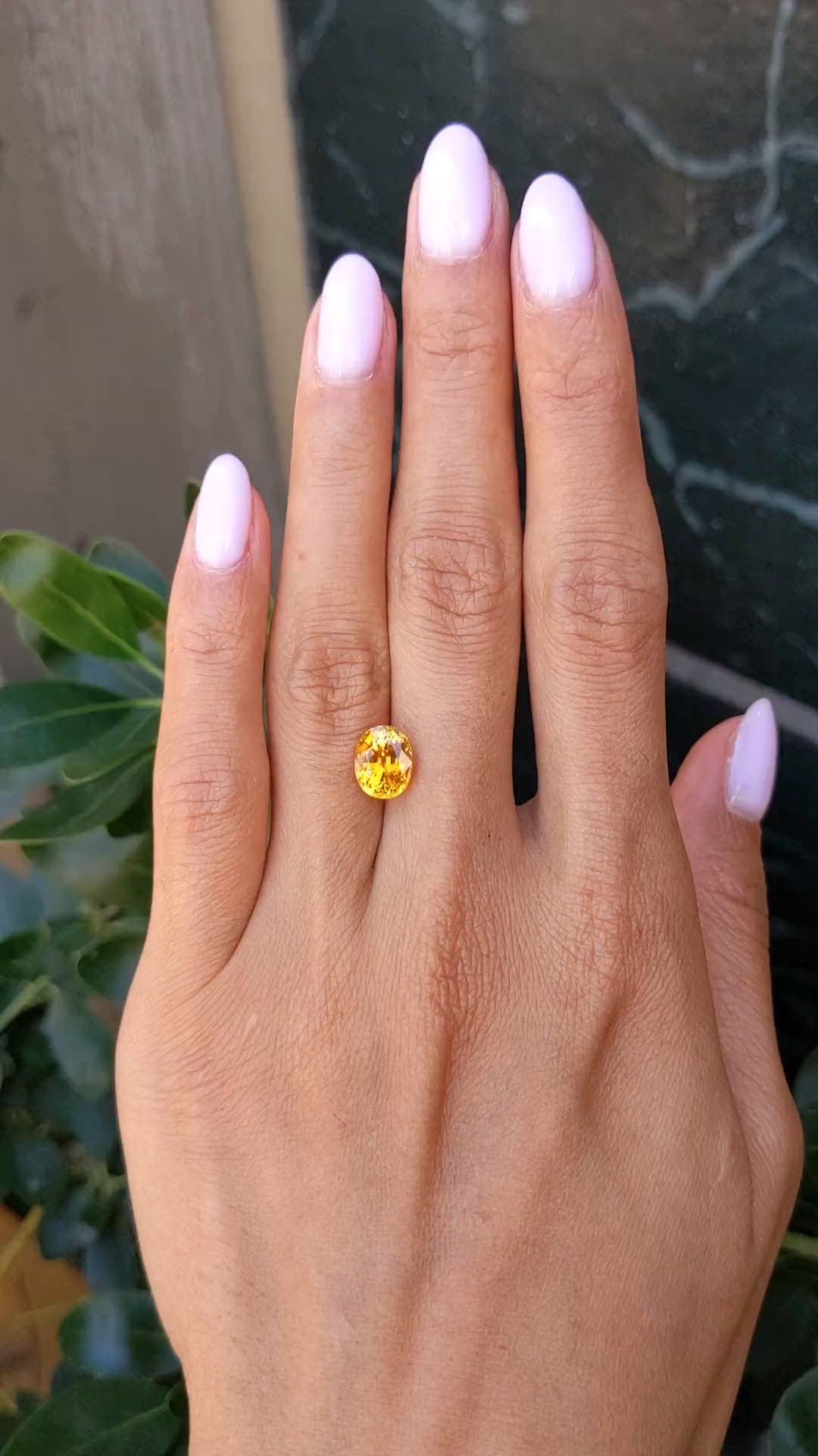 3.23 Ct. Orangish Yellow Sapphire from Ceylon (Sri Lanka) Size Video