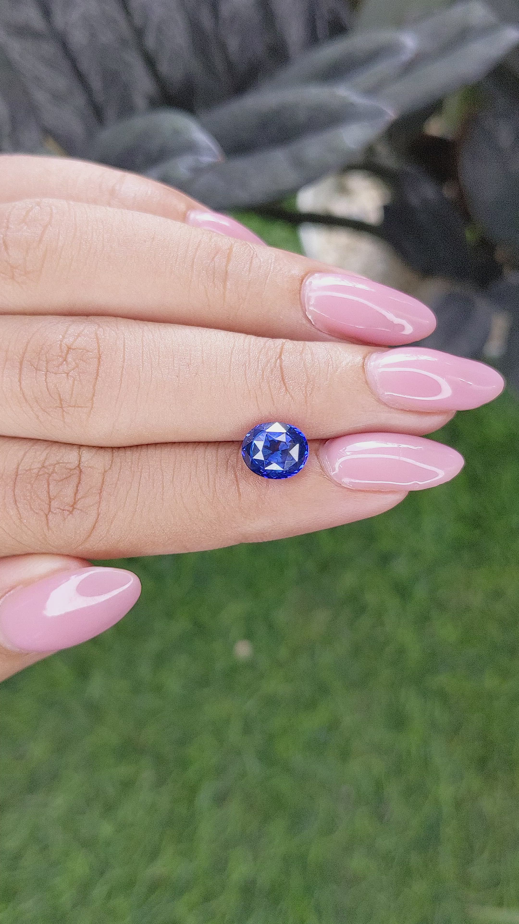 2.55 Ct. Blue Sapphire from Ceylon (Sri Lanka) Size Video