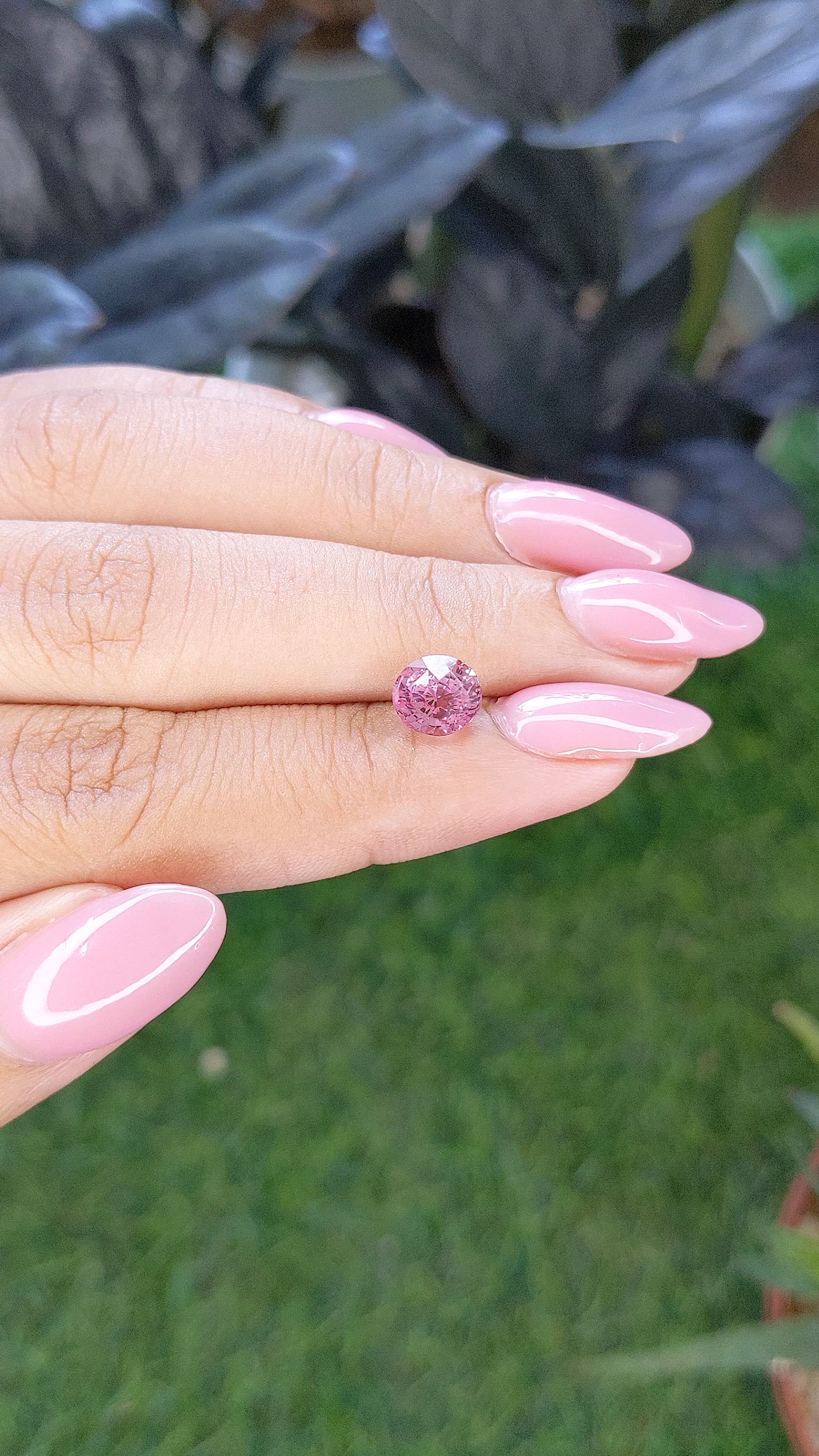 2.14 Ct. Pink Sapphire from Madagascar Size Video