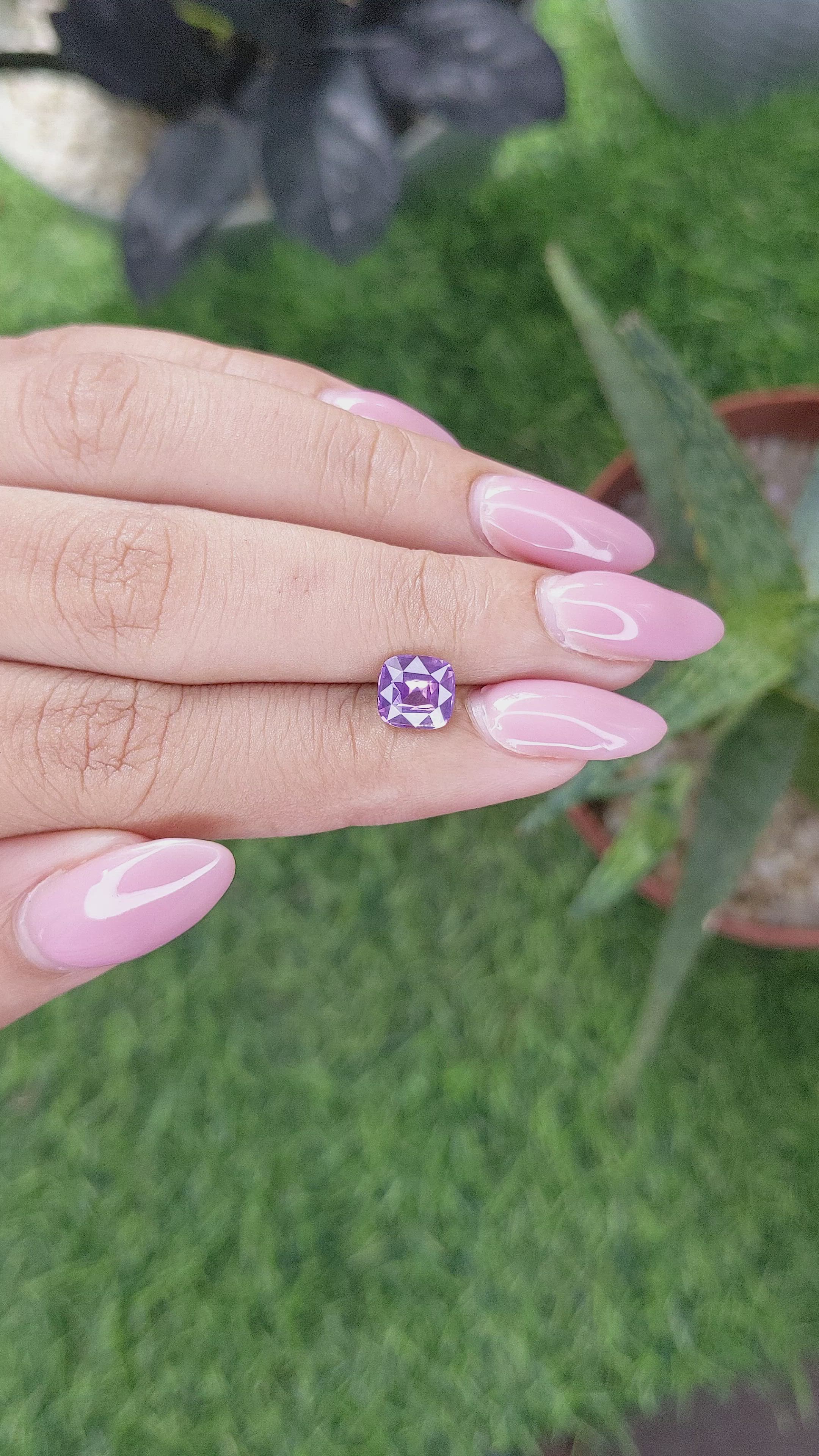 1.55 Ct. Purple Sapphire from Ceylon (Sri Lanka) Size Video