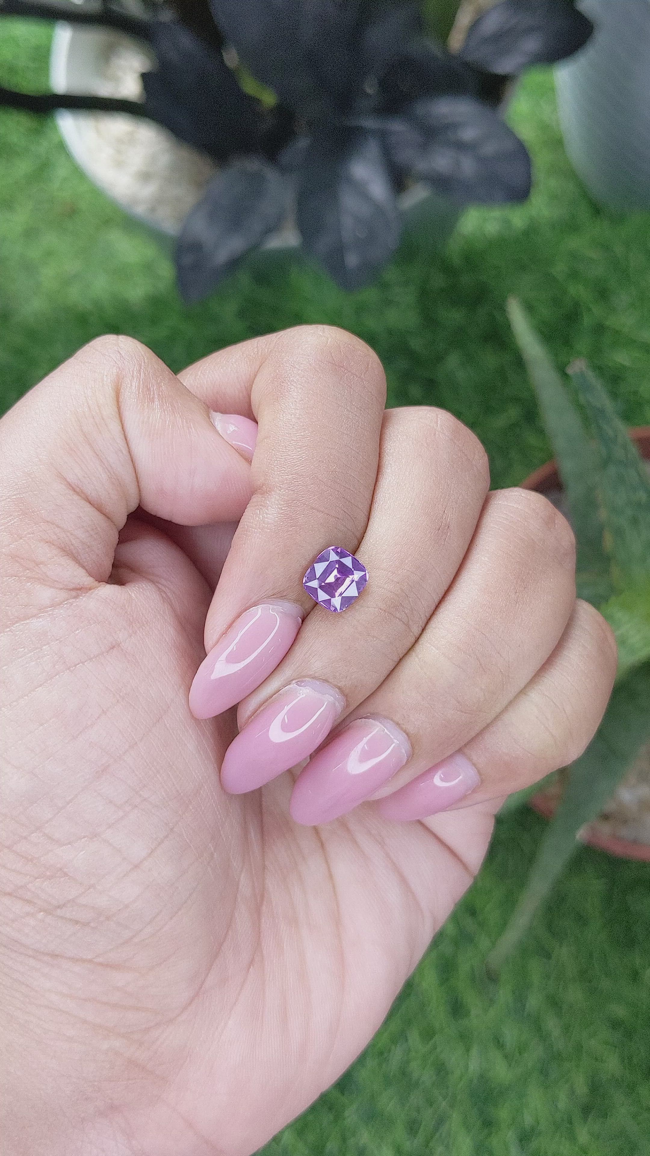 1.55 Ct. Purple Sapphire from Ceylon (Sri Lanka) Size Video