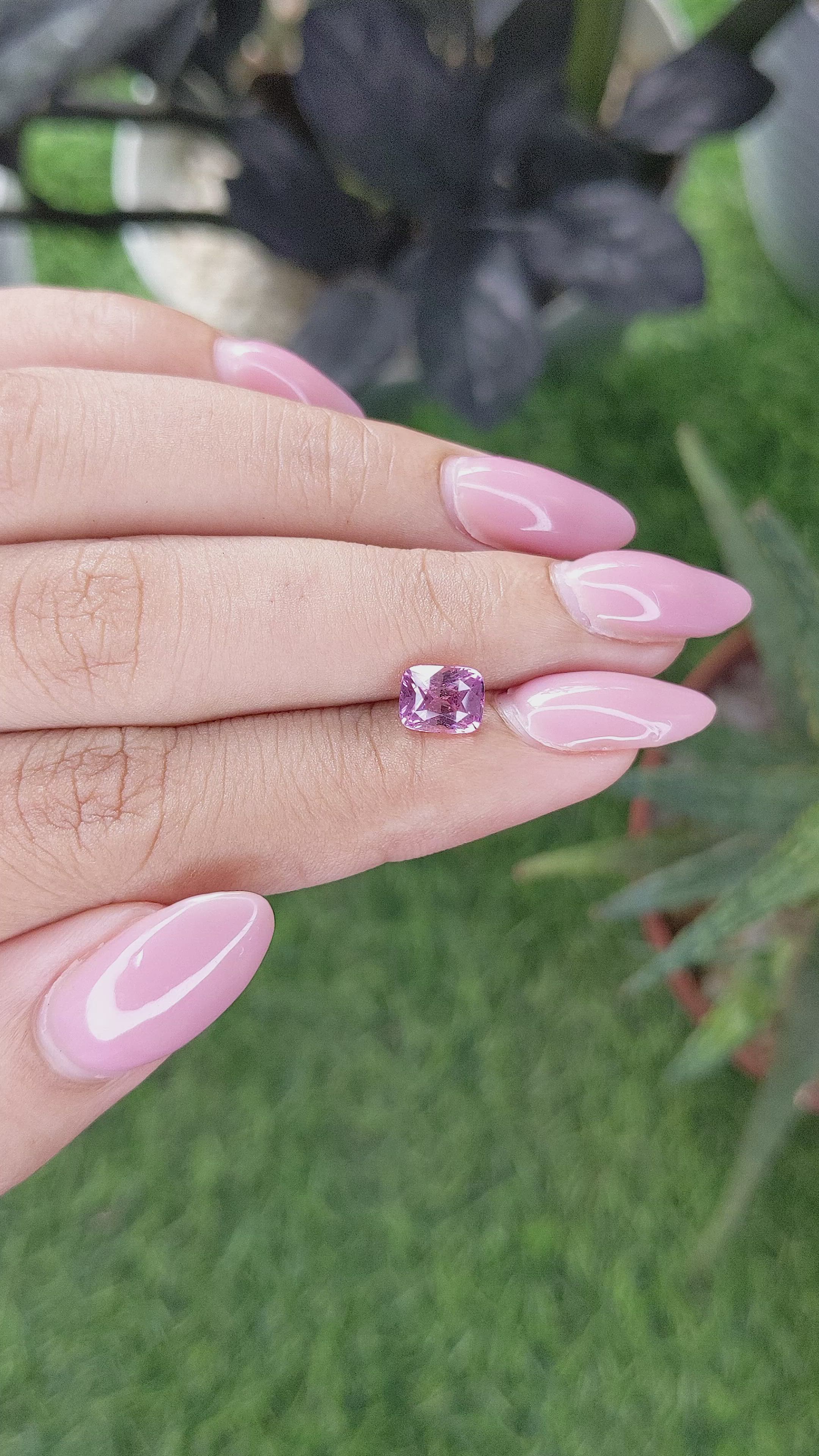 1.56 Ct. Pink Sapphire from Ceylon (Sri Lanka) Size Video