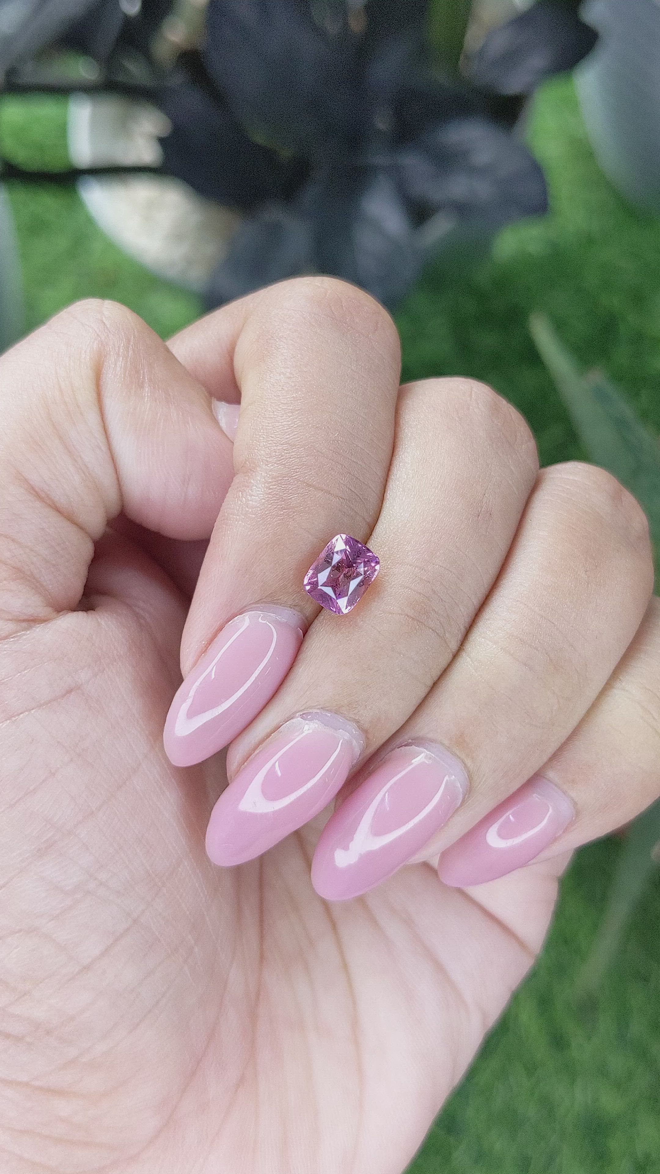 1.56 Ct. Pink Sapphire from Ceylon (Sri Lanka) Size Video