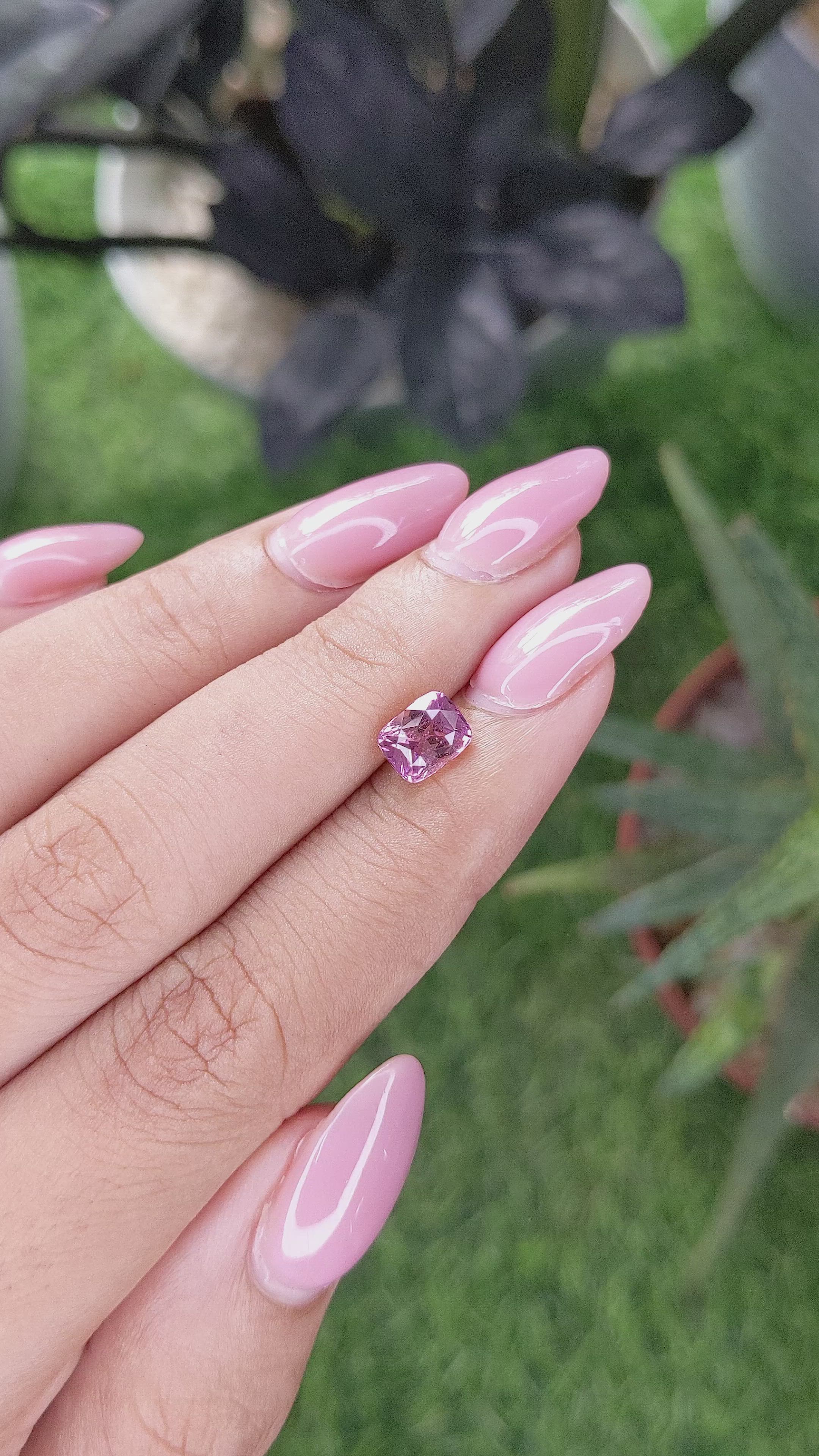 1.56 Ct. Pink Sapphire from Ceylon (Sri Lanka) Size Video