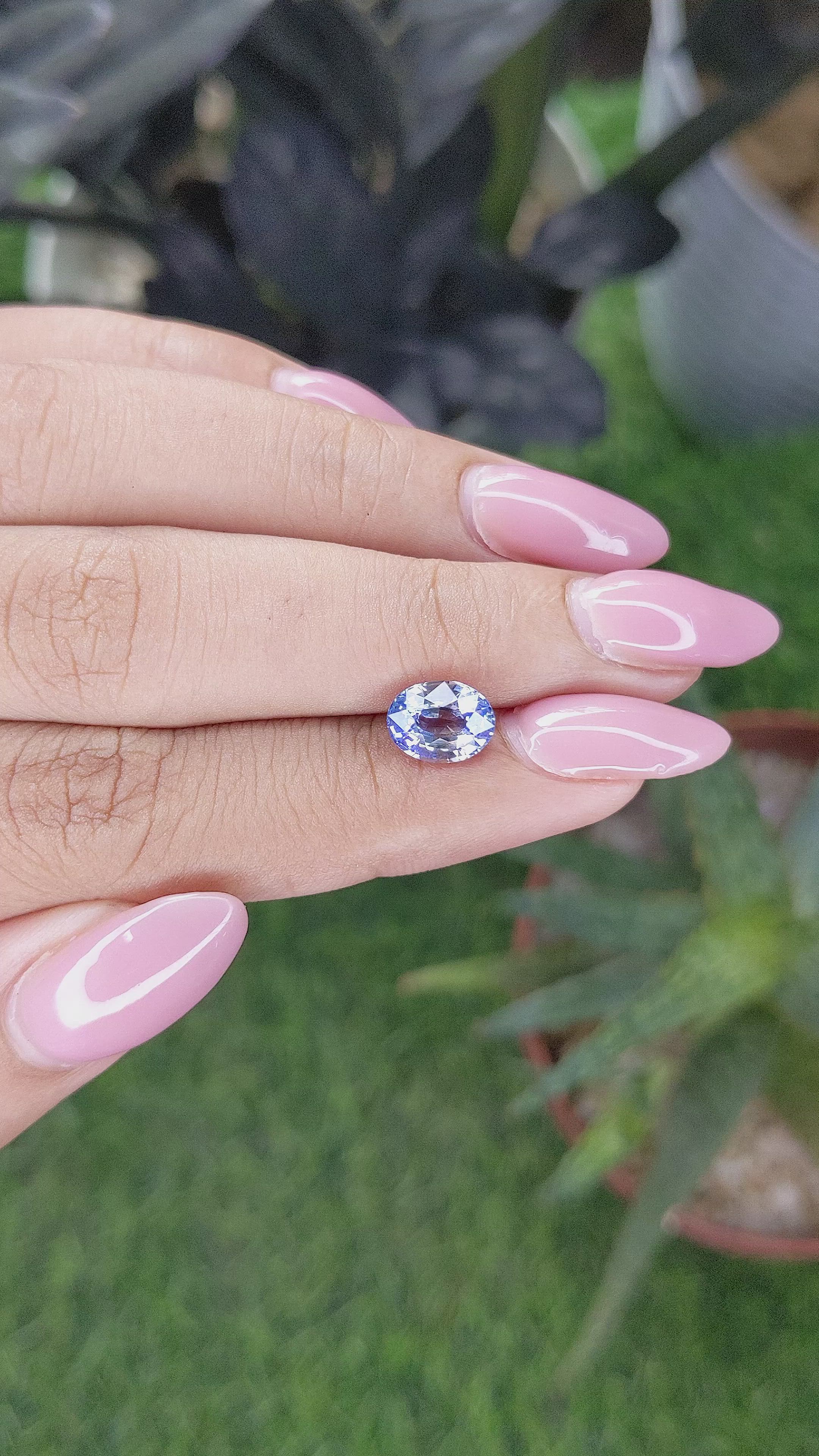 1.95 Ct. Bi Color / Parti Sapphire from Ceylon (Sri Lanka) Size Video