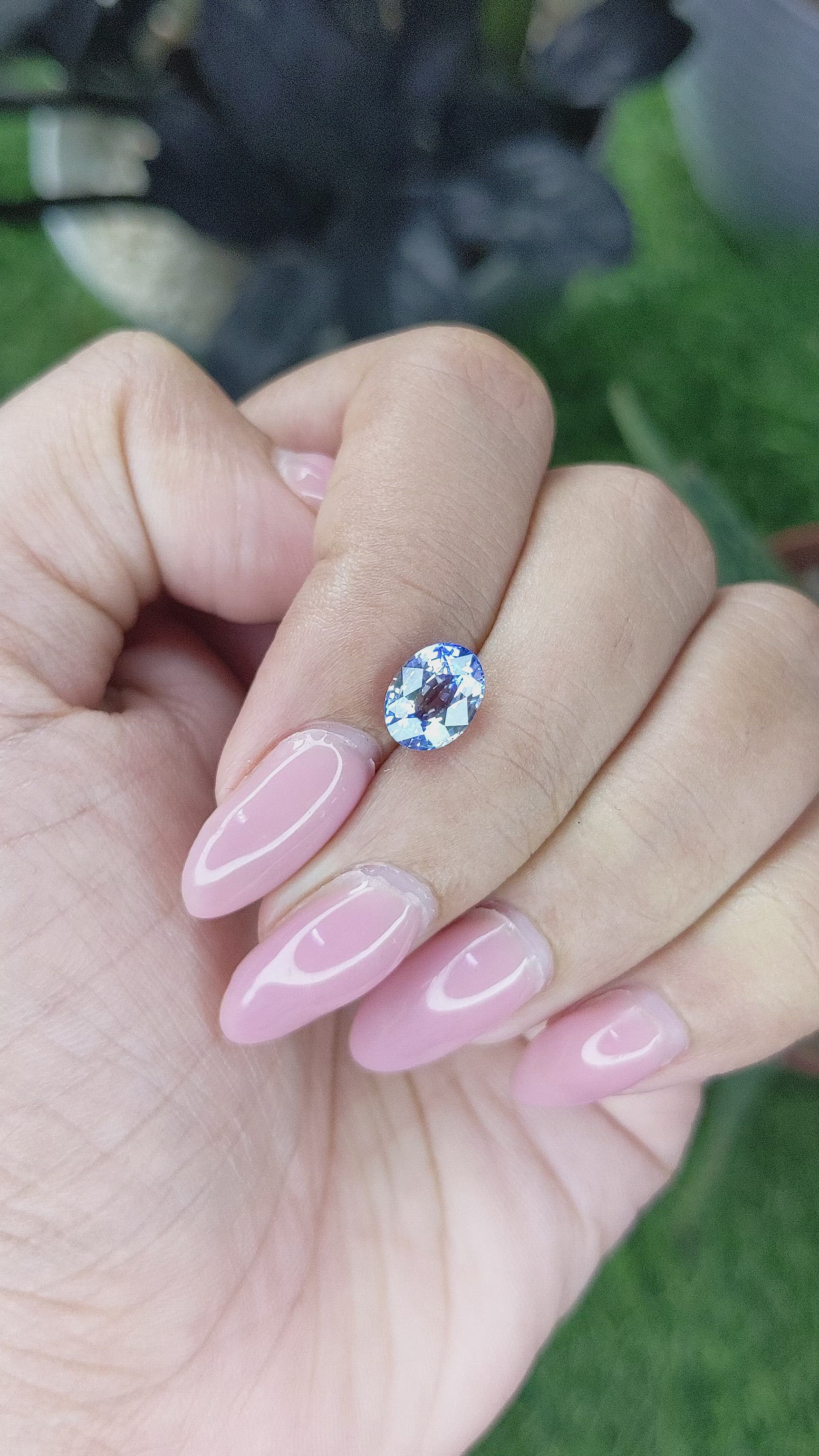 1.95 Ct. Bi Color / Parti Sapphire from Ceylon (Sri Lanka) Size Video