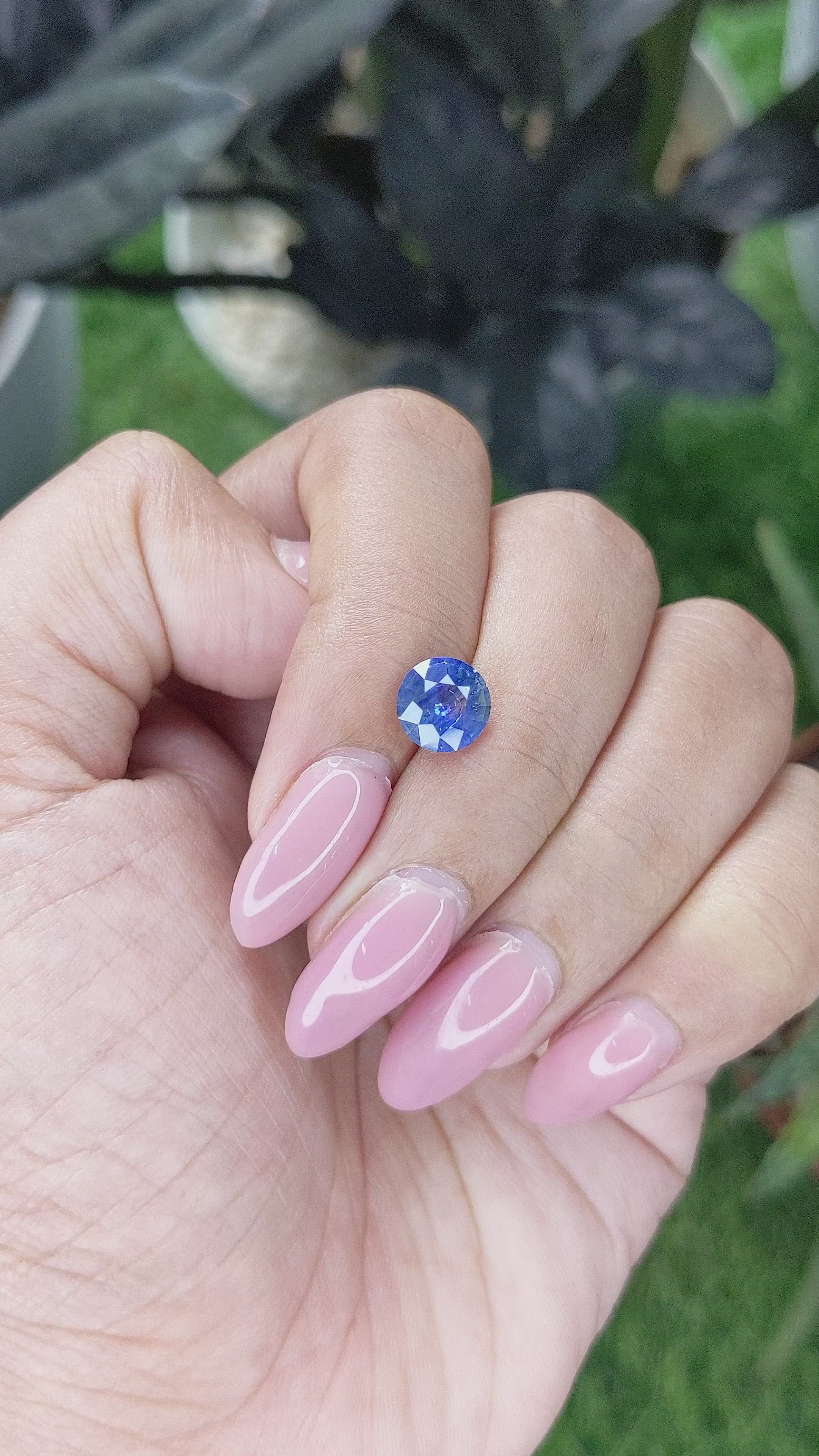 1.71 Ct. Bi Color / Parti Sapphire from Ceylon (Sri Lanka) Size Video